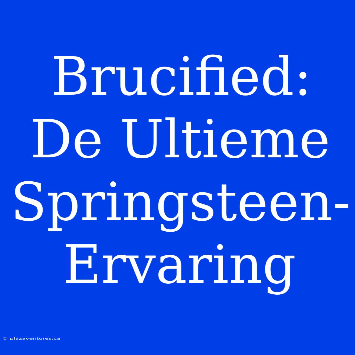 Brucified: De Ultieme Springsteen-Ervaring