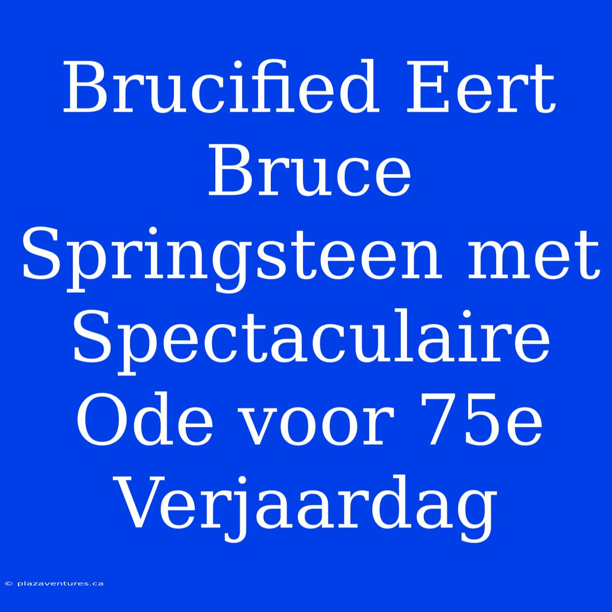 Brucified Eert Bruce Springsteen Met Spectaculaire Ode Voor 75e Verjaardag