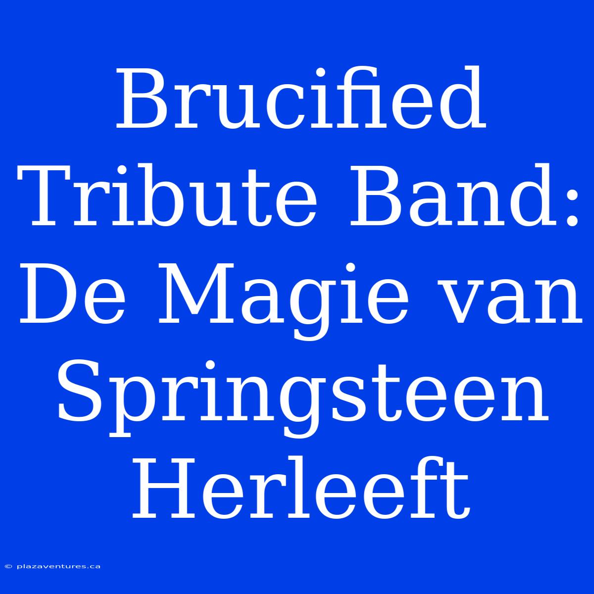 Brucified Tribute Band: De Magie Van Springsteen Herleeft