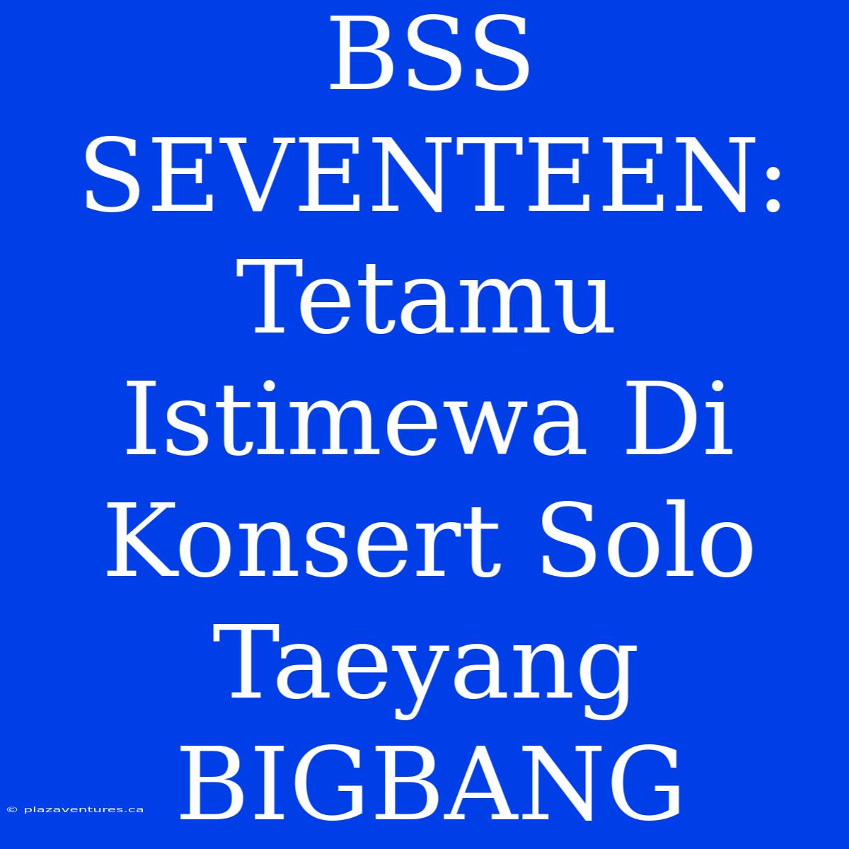 BSS SEVENTEEN: Tetamu Istimewa Di Konsert Solo Taeyang BIGBANG