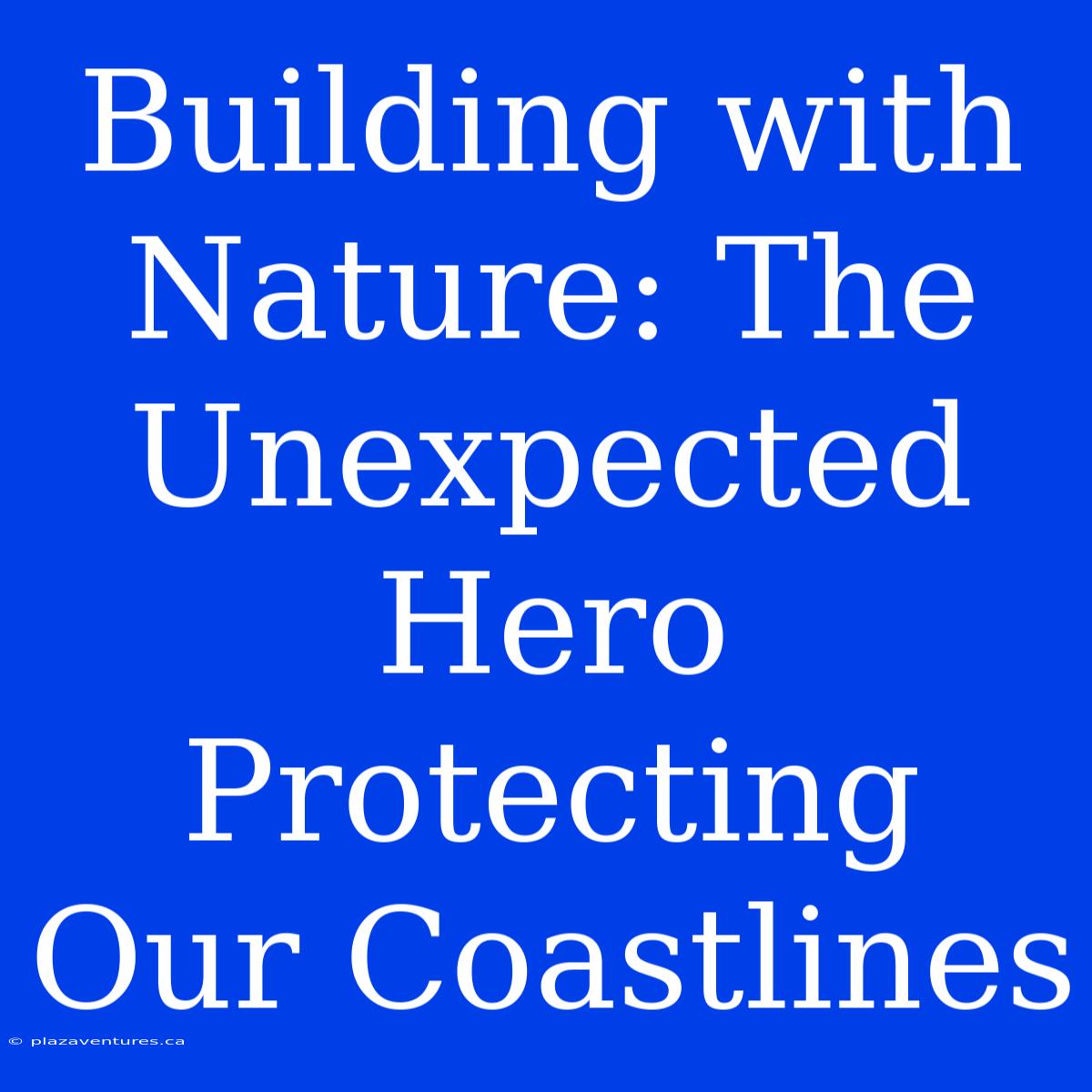 Building With Nature: The Unexpected Hero Protecting Our Coastlines