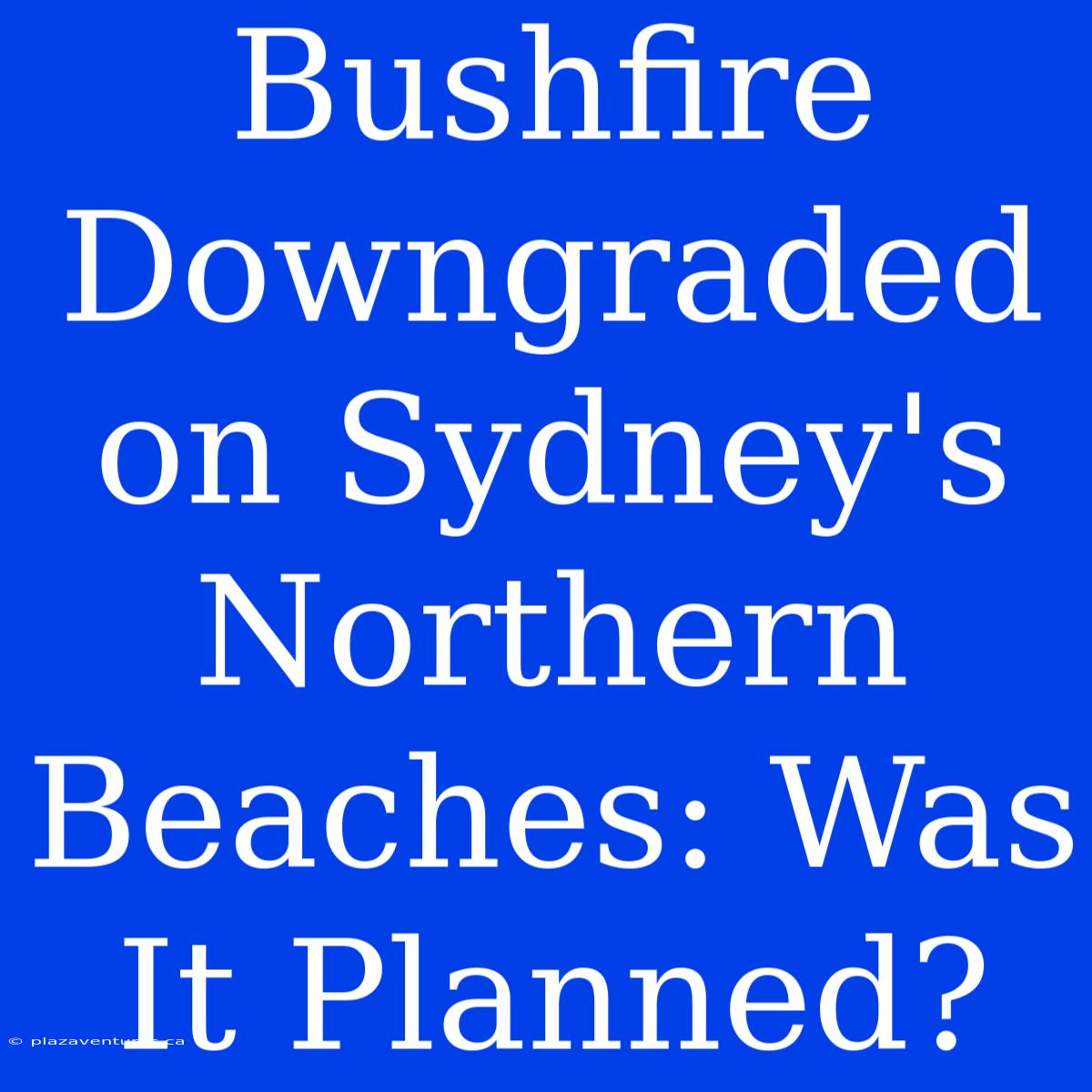 Bushfire Downgraded On Sydney's Northern Beaches: Was It Planned?