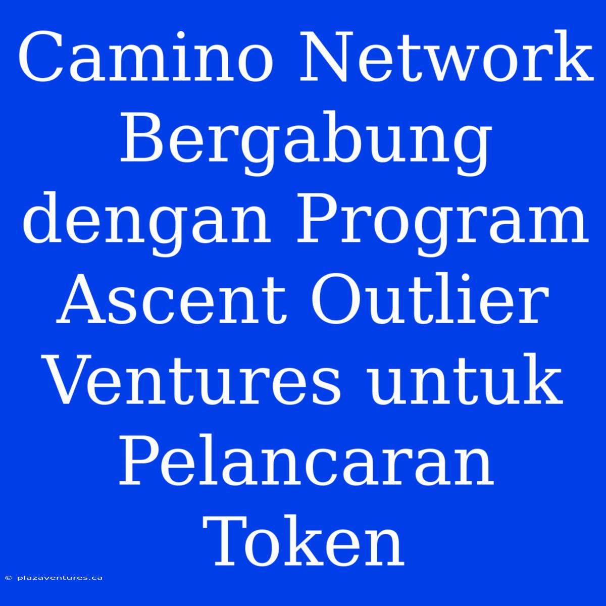 Camino Network Bergabung Dengan Program Ascent Outlier Ventures Untuk Pelancaran Token