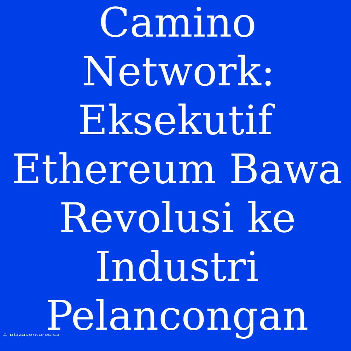 Camino Network: Eksekutif Ethereum Bawa Revolusi Ke Industri Pelancongan