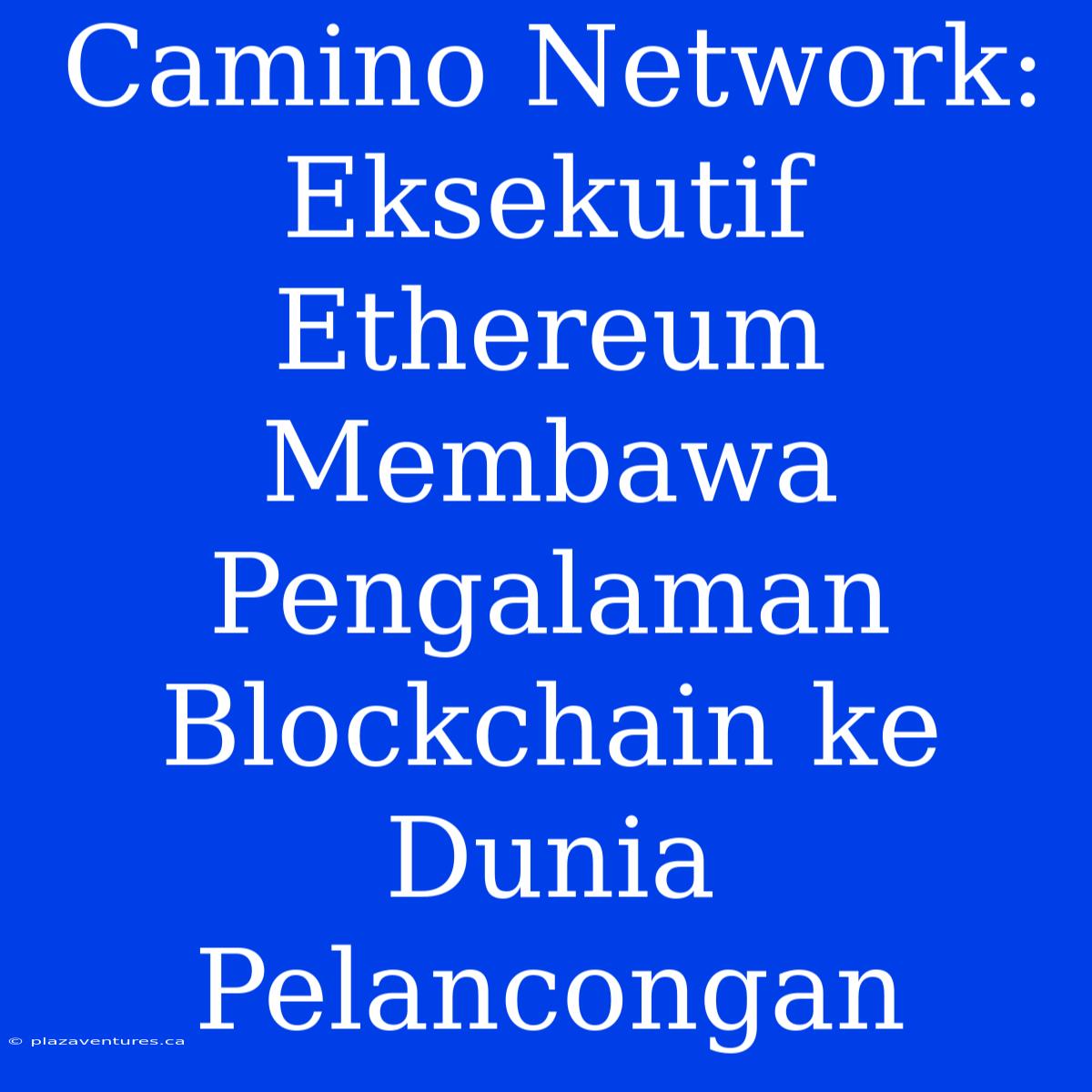 Camino Network: Eksekutif Ethereum Membawa Pengalaman Blockchain Ke Dunia Pelancongan