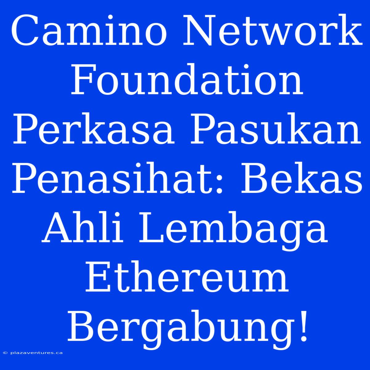 Camino Network Foundation Perkasa Pasukan Penasihat: Bekas Ahli Lembaga Ethereum Bergabung!