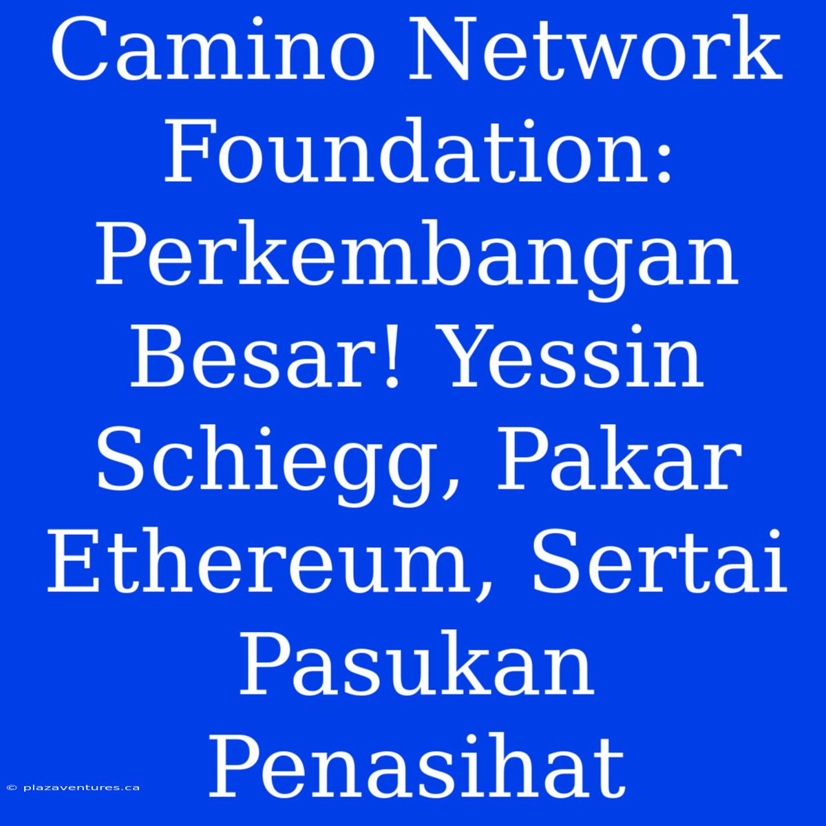 Camino Network Foundation: Perkembangan Besar! Yessin Schiegg, Pakar Ethereum, Sertai Pasukan Penasihat