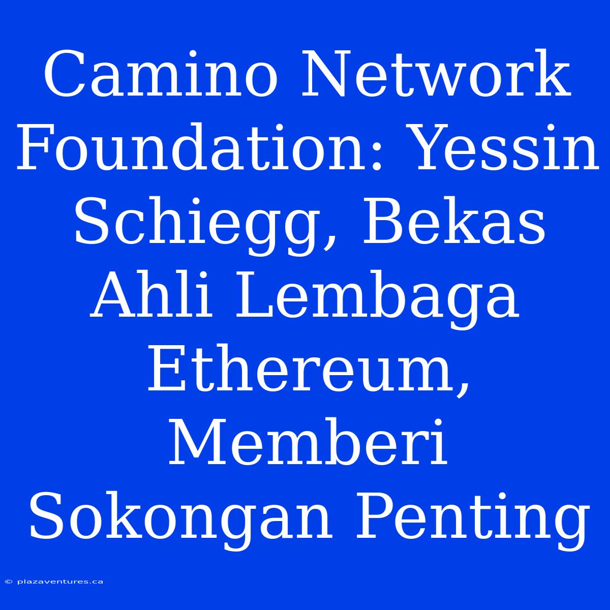 Camino Network Foundation: Yessin Schiegg, Bekas Ahli Lembaga Ethereum, Memberi Sokongan Penting