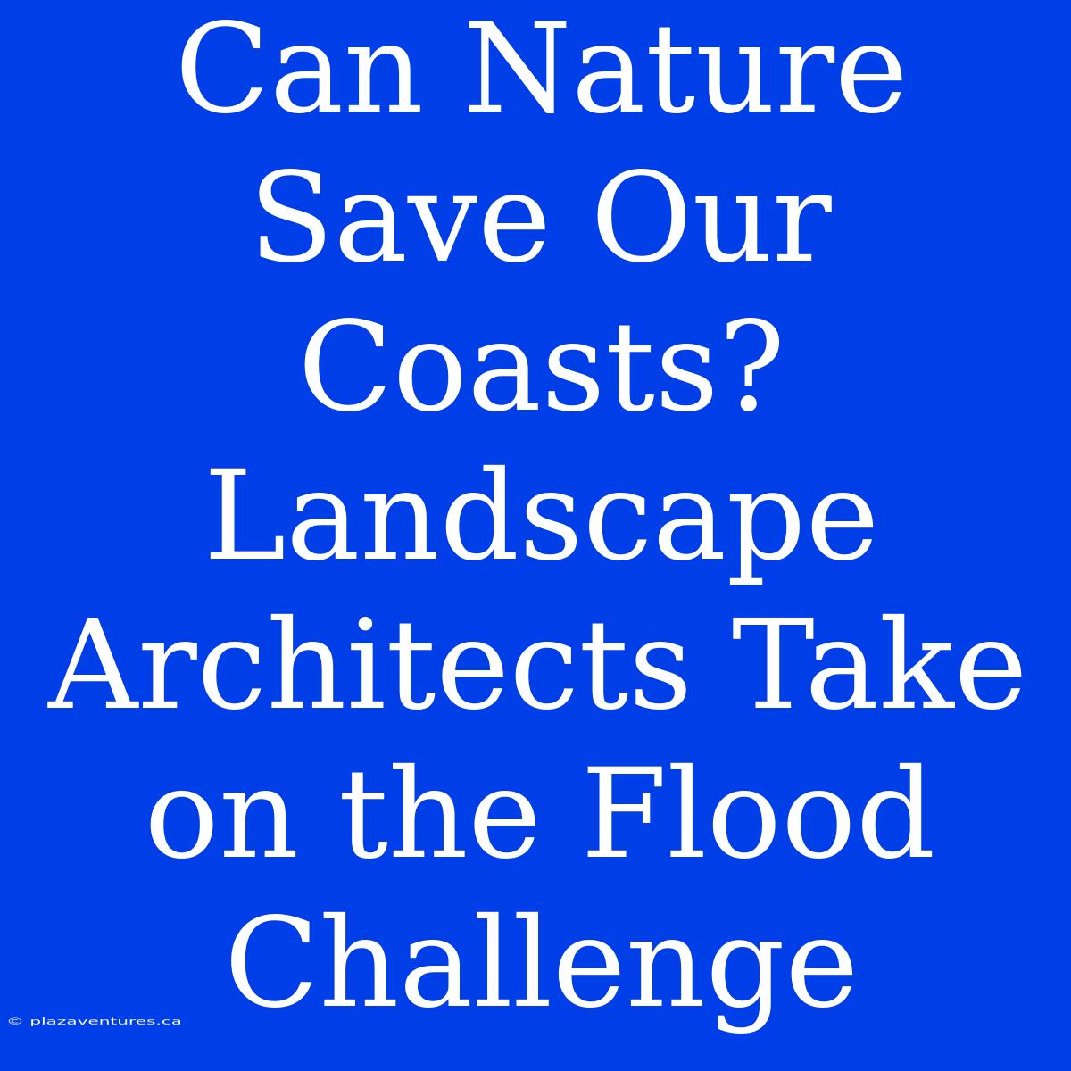 Can Nature Save Our Coasts? Landscape Architects Take On The Flood Challenge