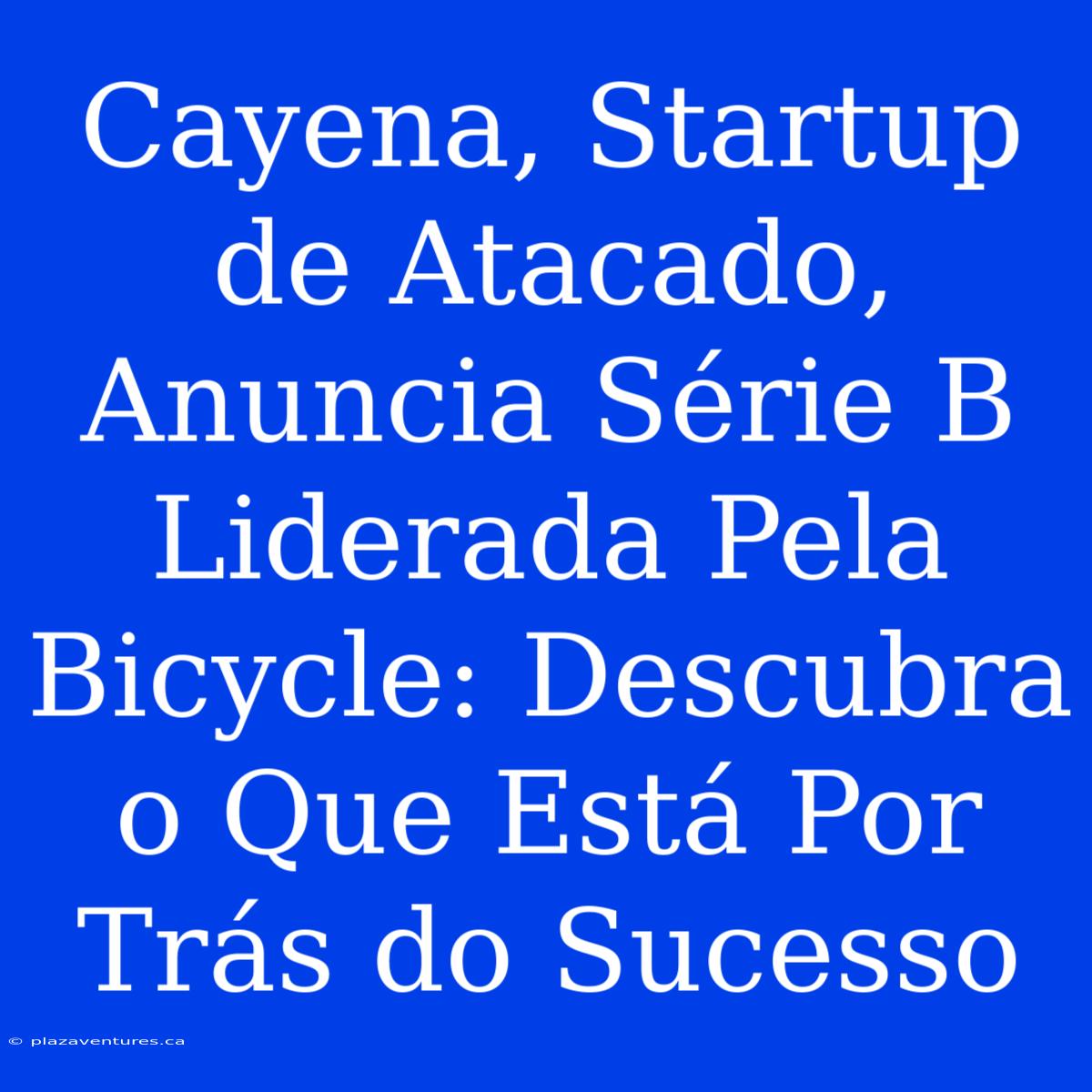 Cayena, Startup De Atacado, Anuncia Série B Liderada Pela Bicycle: Descubra O Que Está Por Trás Do Sucesso