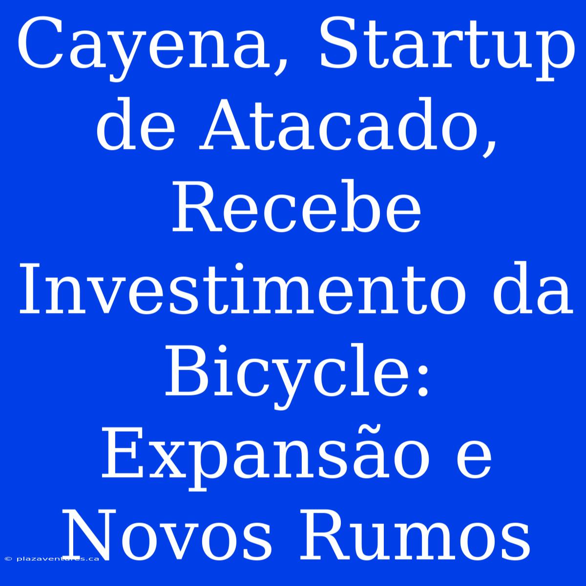 Cayena, Startup De Atacado, Recebe Investimento Da Bicycle: Expansão E Novos Rumos