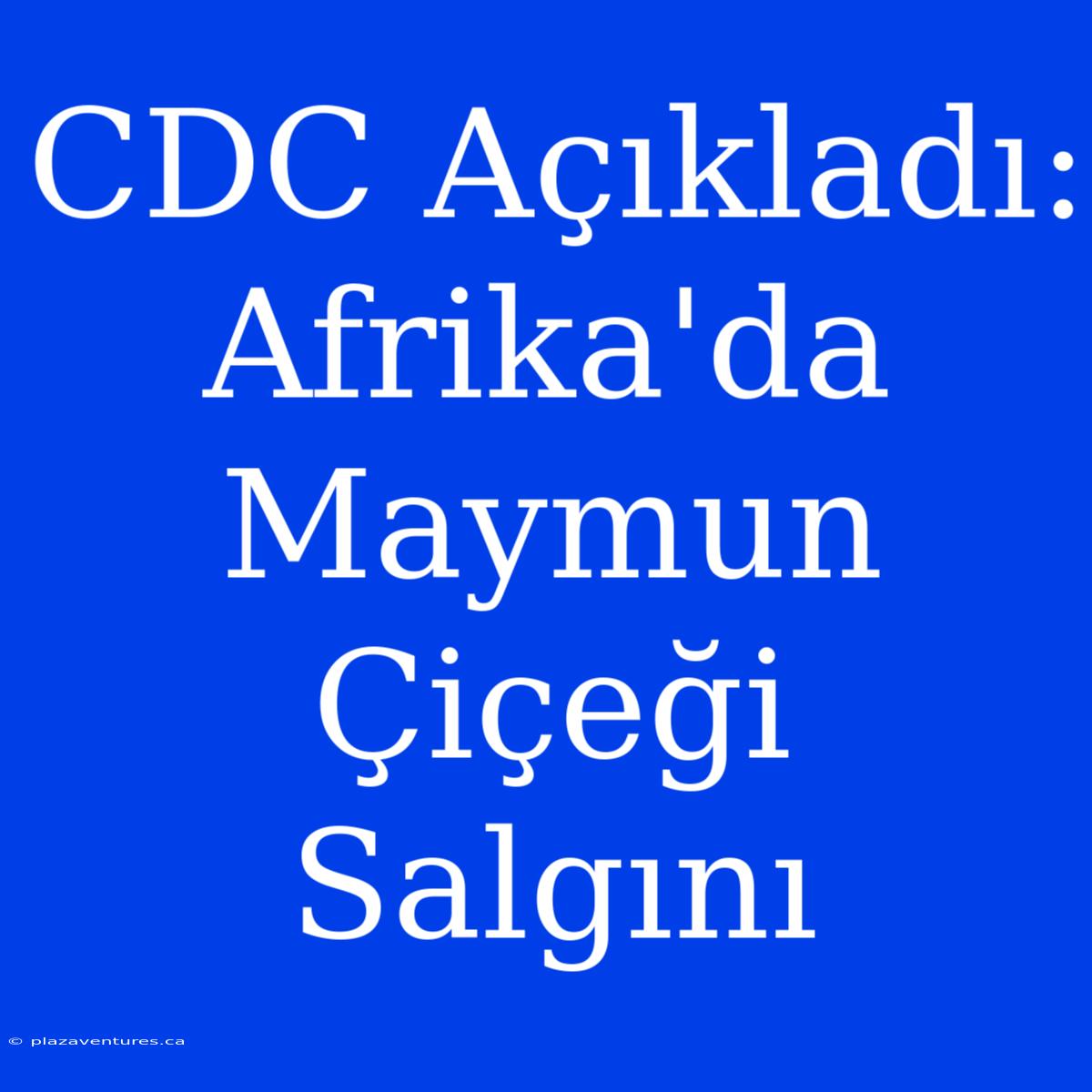 CDC Açıkladı: Afrika'da Maymun Çiçeği Salgını