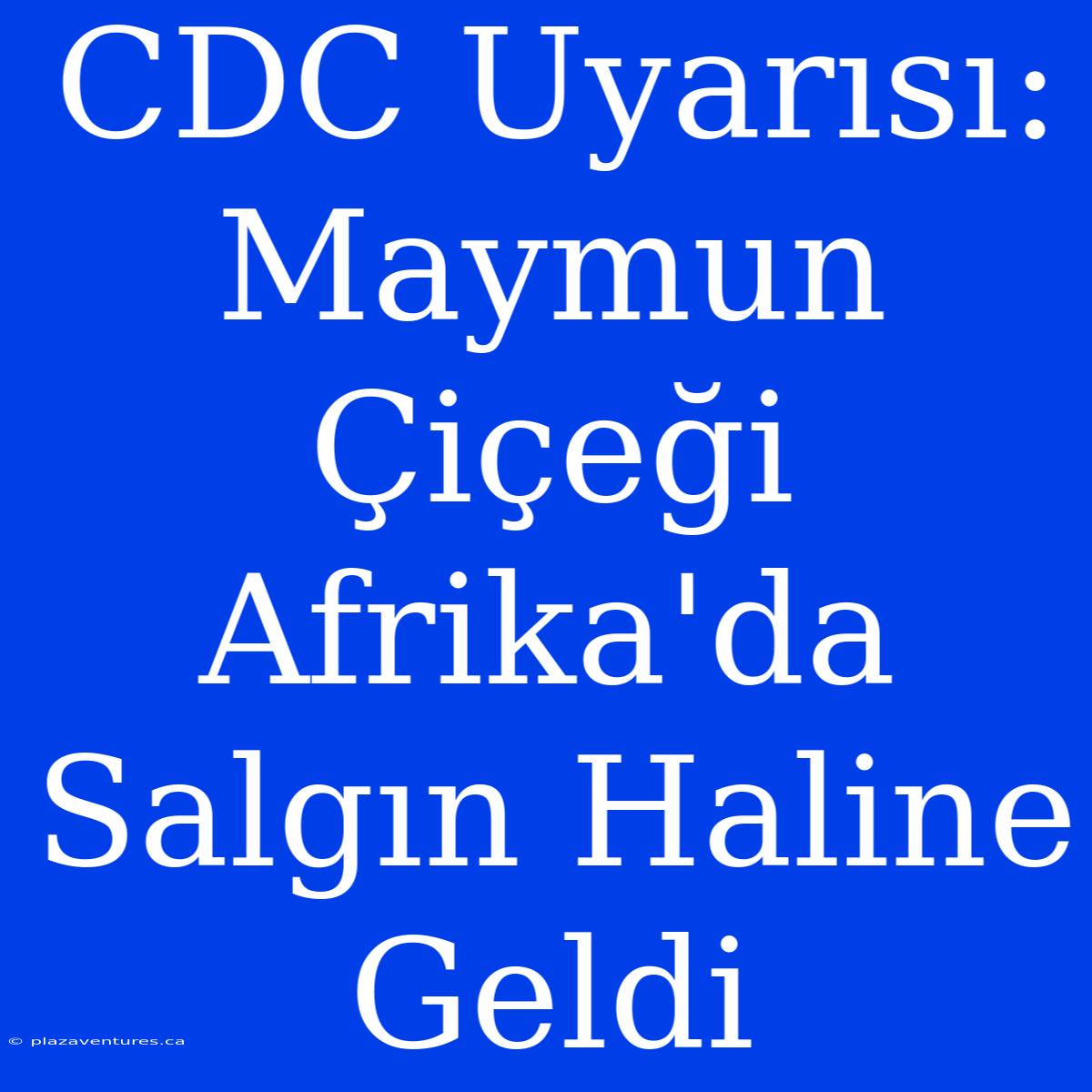 CDC Uyarısı: Maymun Çiçeği Afrika'da Salgın Haline Geldi