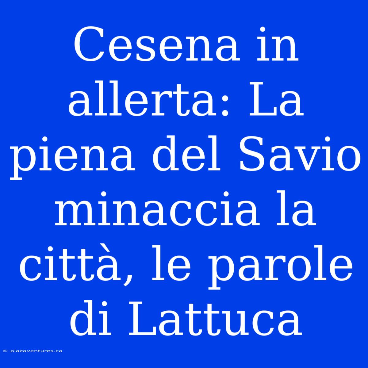 Cesena In Allerta: La Piena Del Savio Minaccia La Città, Le Parole Di Lattuca