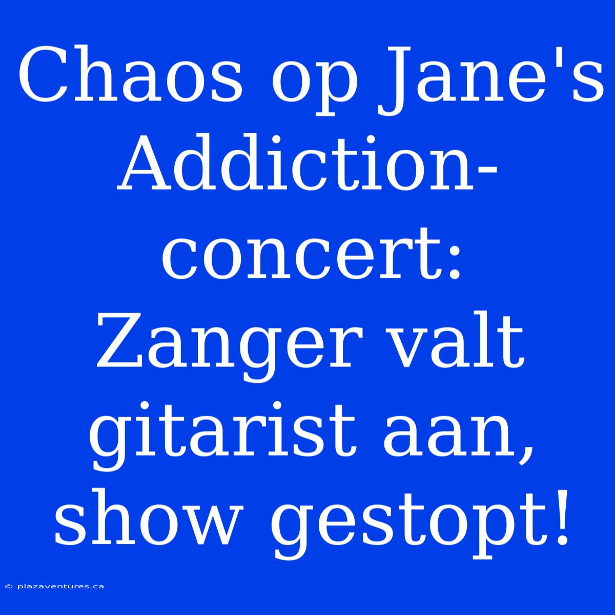 Chaos Op Jane's Addiction-concert: Zanger Valt Gitarist Aan, Show Gestopt!