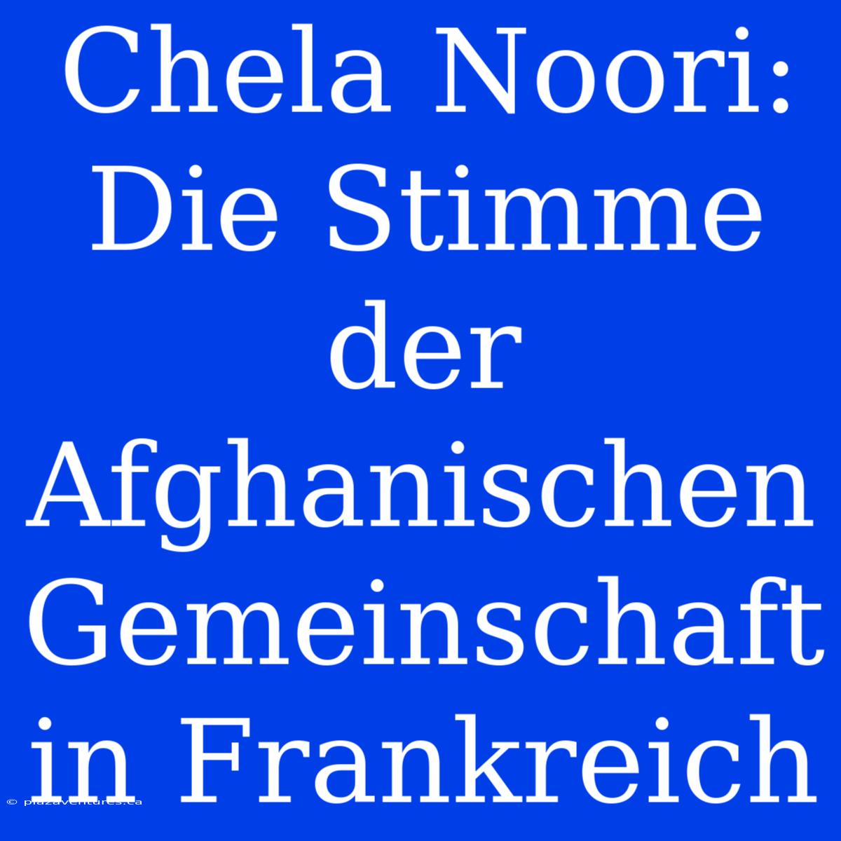 Chela Noori: Die Stimme Der Afghanischen Gemeinschaft In Frankreich