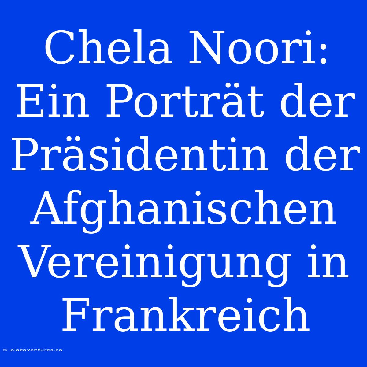 Chela Noori: Ein Porträt Der Präsidentin Der Afghanischen Vereinigung In Frankreich