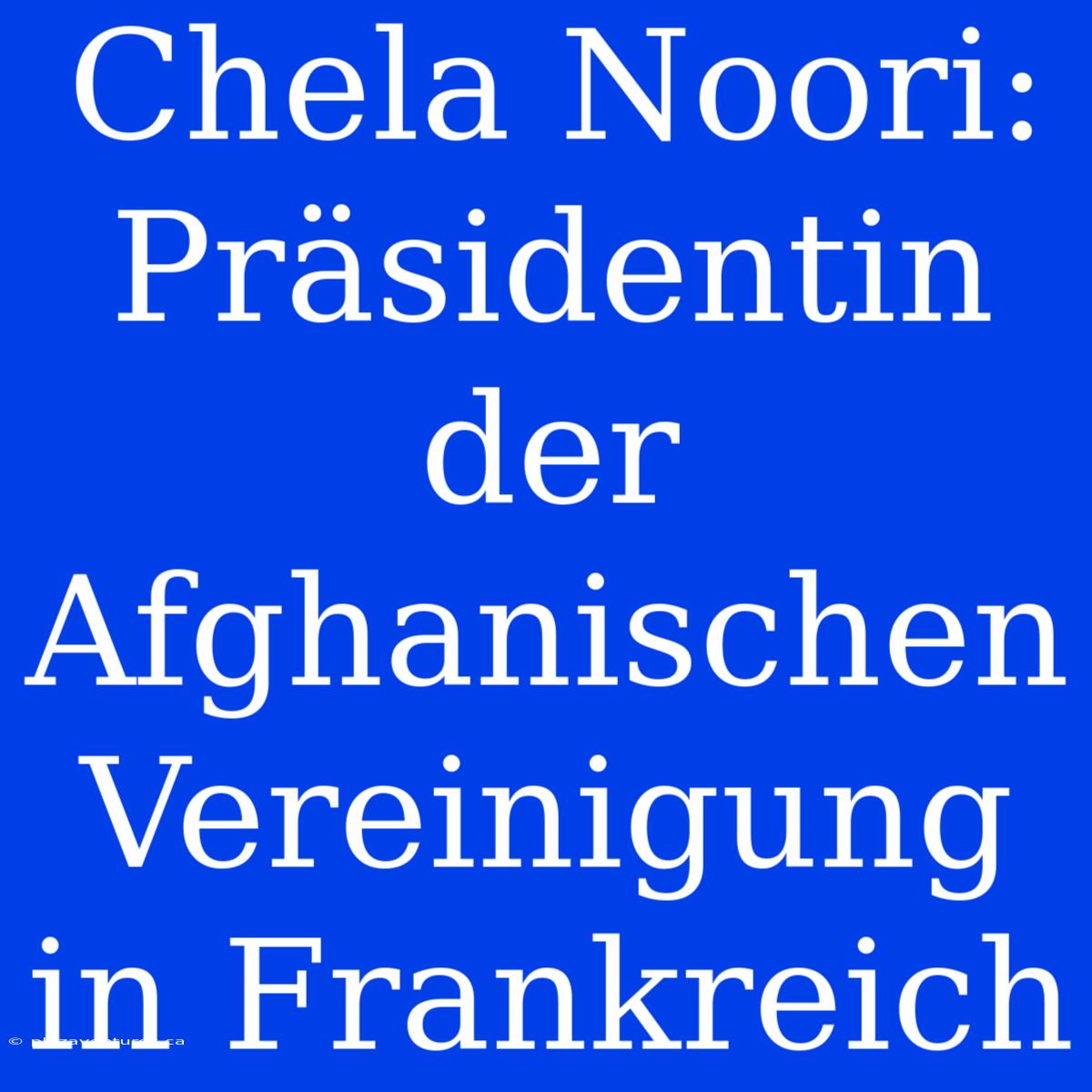 Chela Noori: Präsidentin Der Afghanischen Vereinigung In Frankreich