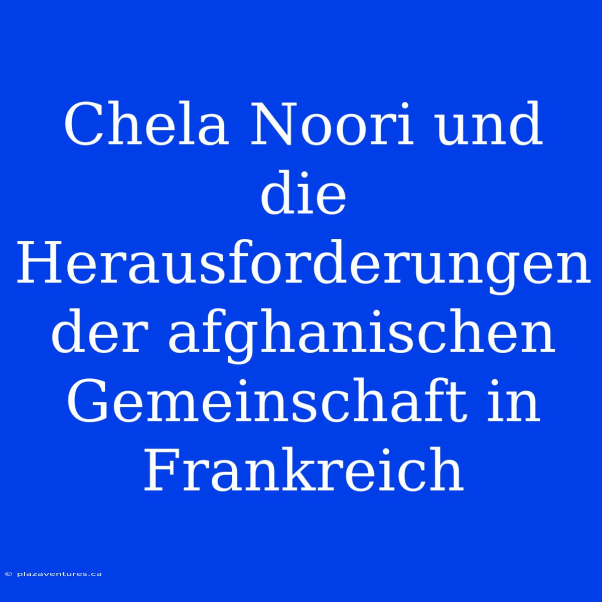 Chela Noori Und Die Herausforderungen Der Afghanischen Gemeinschaft In Frankreich