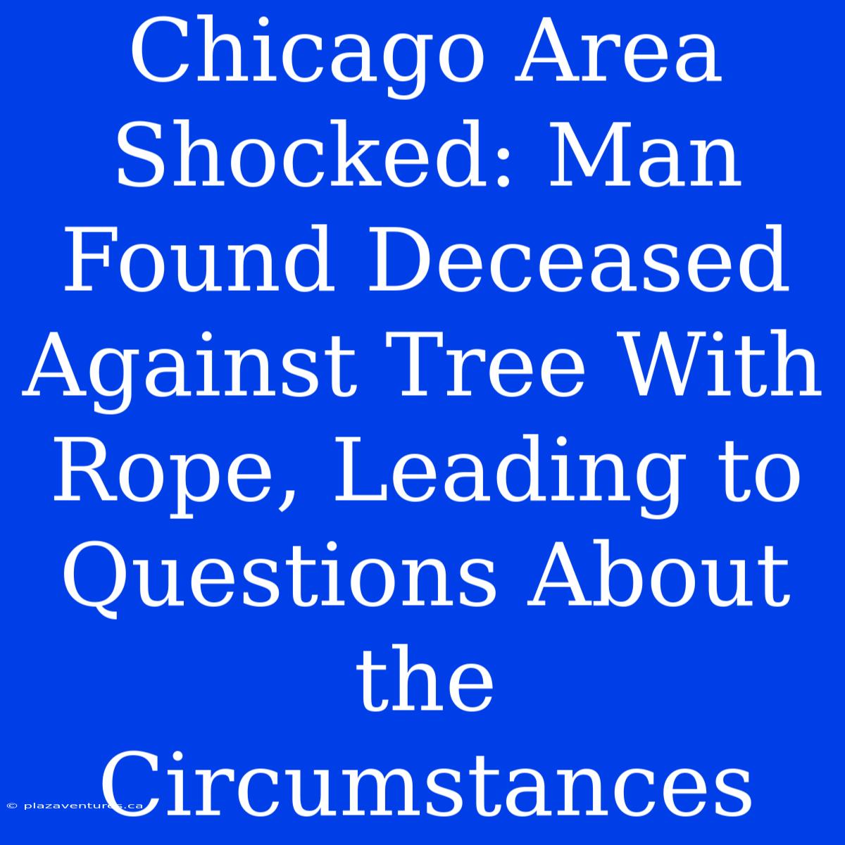 Chicago Area Shocked: Man Found Deceased Against Tree With Rope, Leading To Questions About The Circumstances