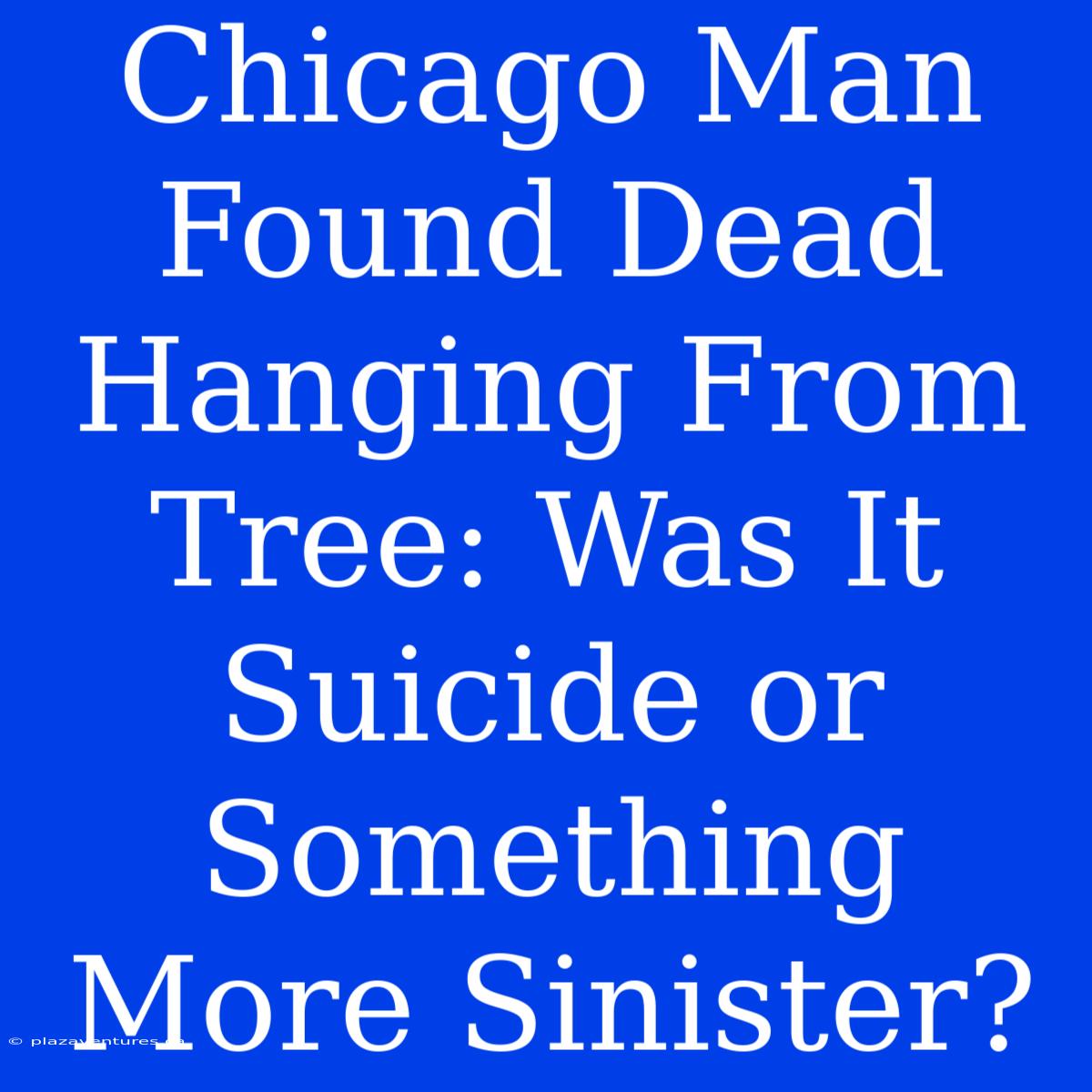 Chicago Man Found Dead Hanging From Tree: Was It Suicide Or Something More Sinister?