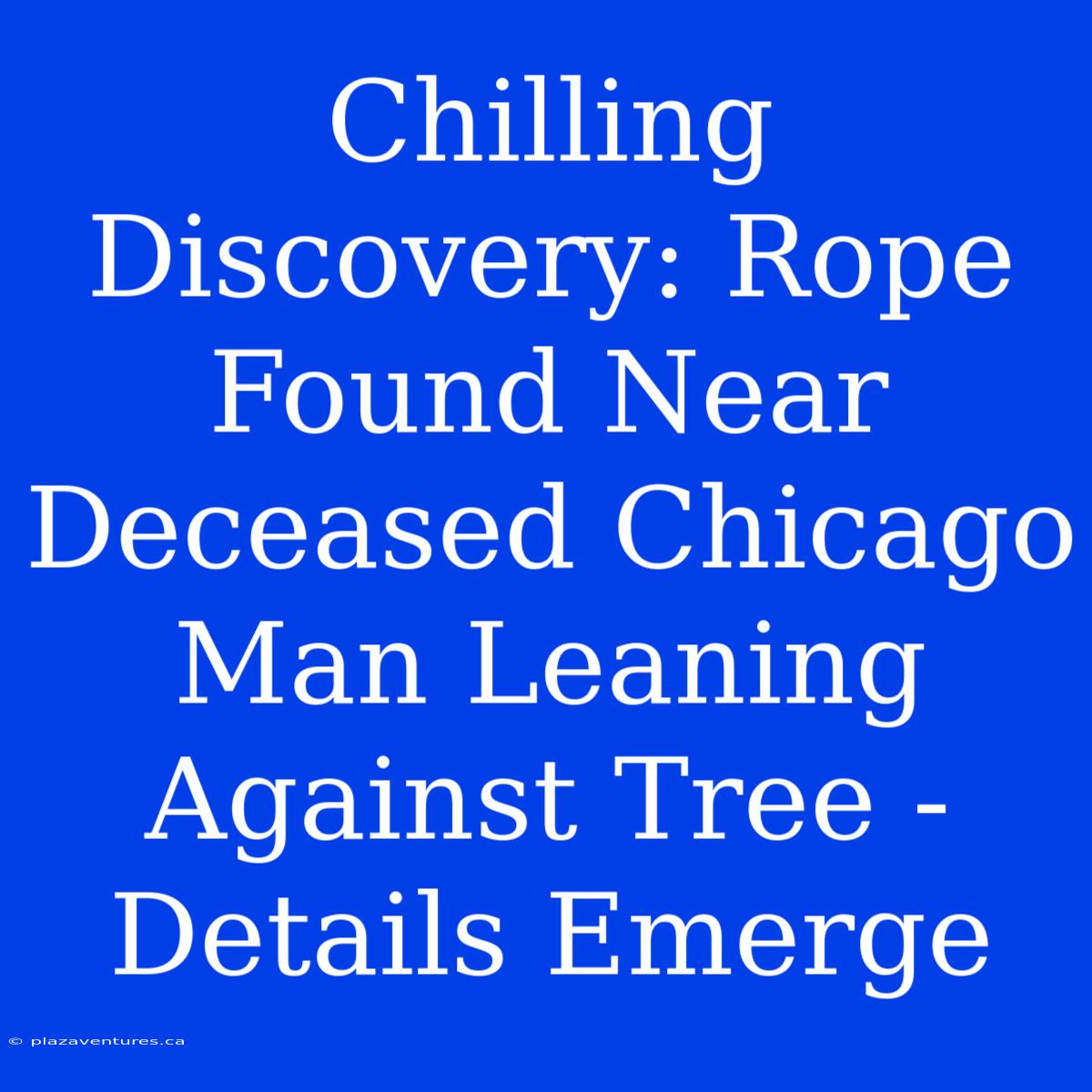 Chilling Discovery: Rope Found Near Deceased Chicago Man Leaning Against Tree - Details Emerge