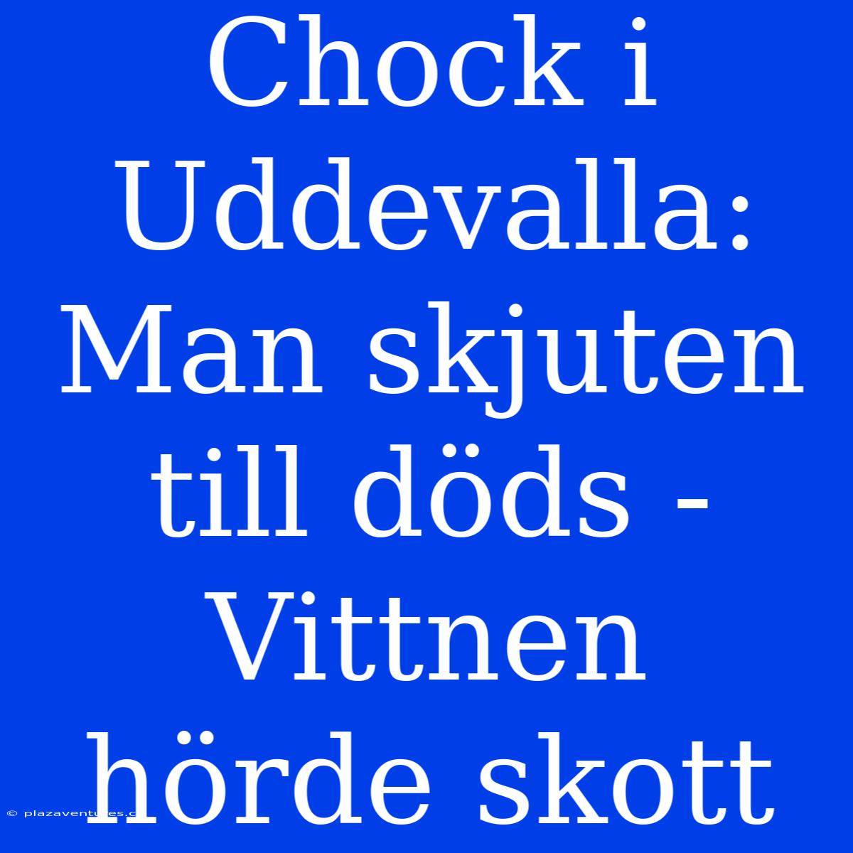 Chock I Uddevalla: Man Skjuten Till Döds - Vittnen Hörde Skott