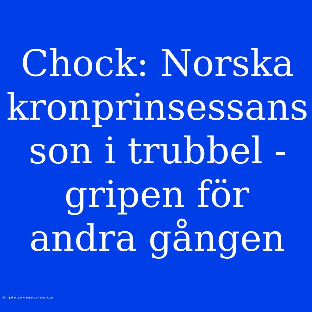 Chock: Norska Kronprinsessans Son I Trubbel - Gripen För Andra Gången