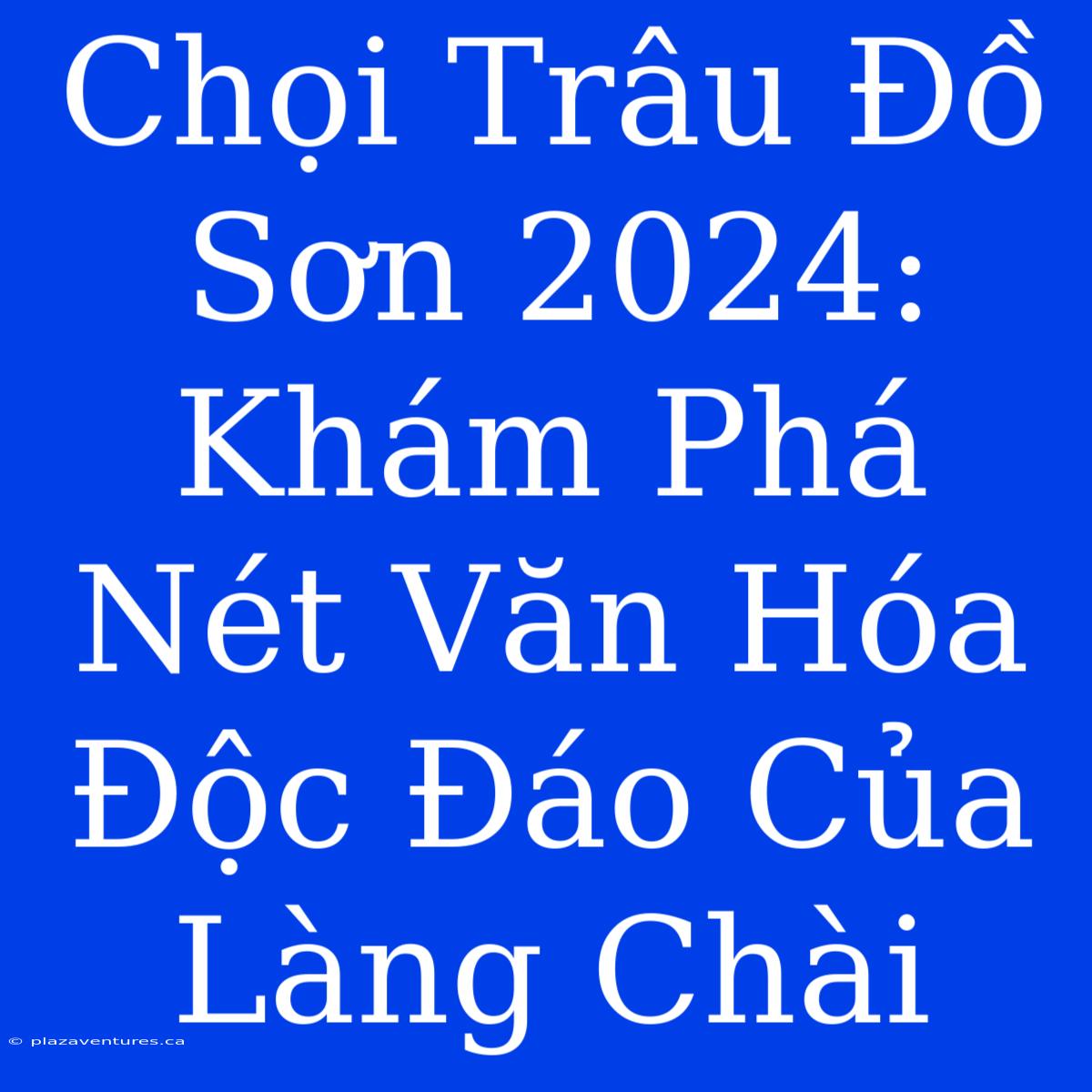 Chọi Trâu Đồ Sơn 2024: Khám Phá Nét Văn Hóa Độc Đáo Của Làng Chài