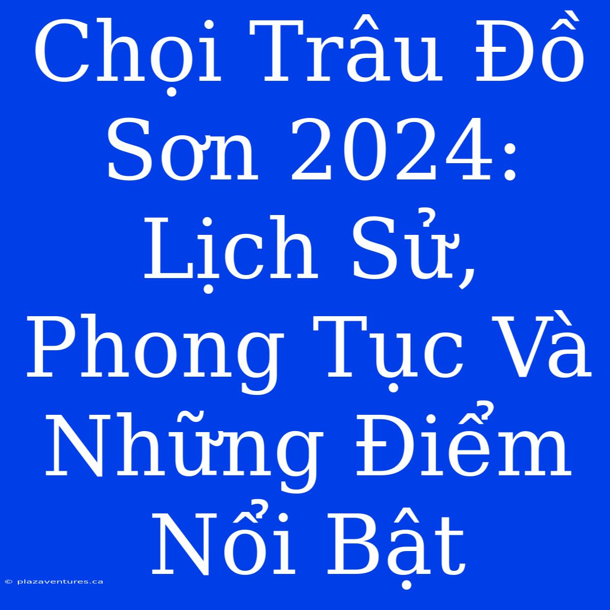 Chọi Trâu Đồ Sơn 2024: Lịch Sử, Phong Tục Và Những Điểm Nổi Bật