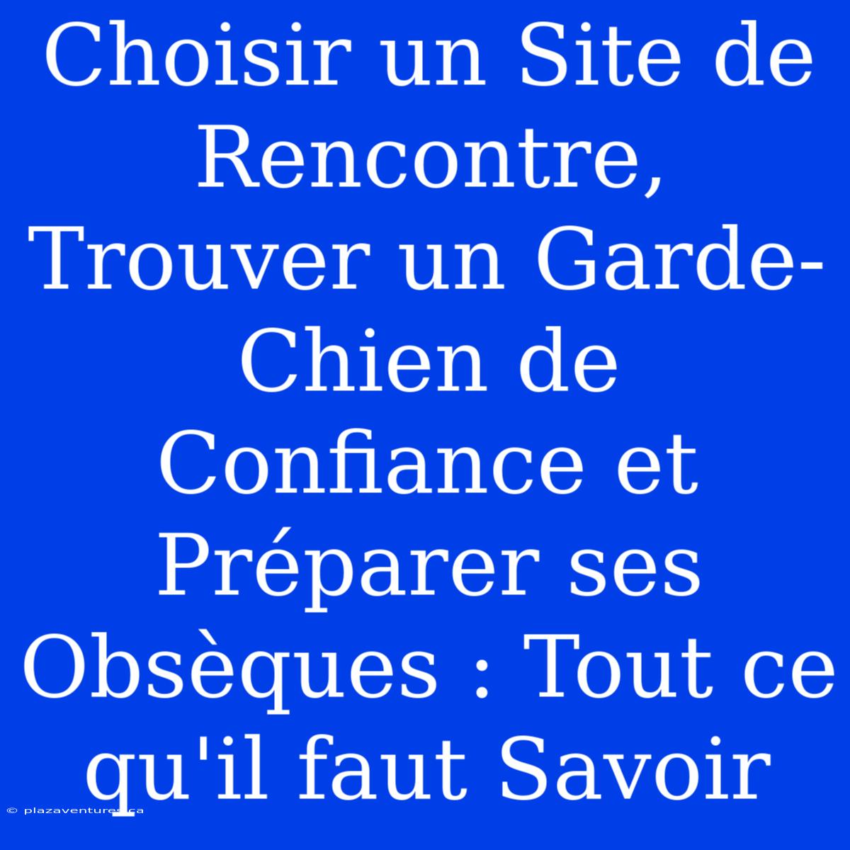 Choisir Un Site De Rencontre, Trouver Un Garde-Chien De Confiance Et Préparer Ses Obsèques : Tout Ce Qu'il Faut Savoir