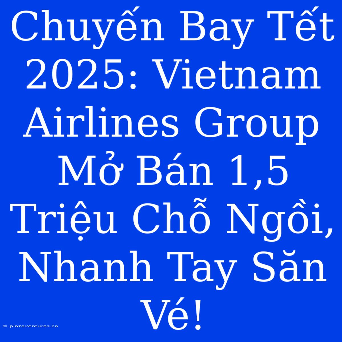 Chuyến Bay Tết 2025: Vietnam Airlines Group Mở Bán 1,5 Triệu Chỗ Ngồi, Nhanh Tay Săn Vé!