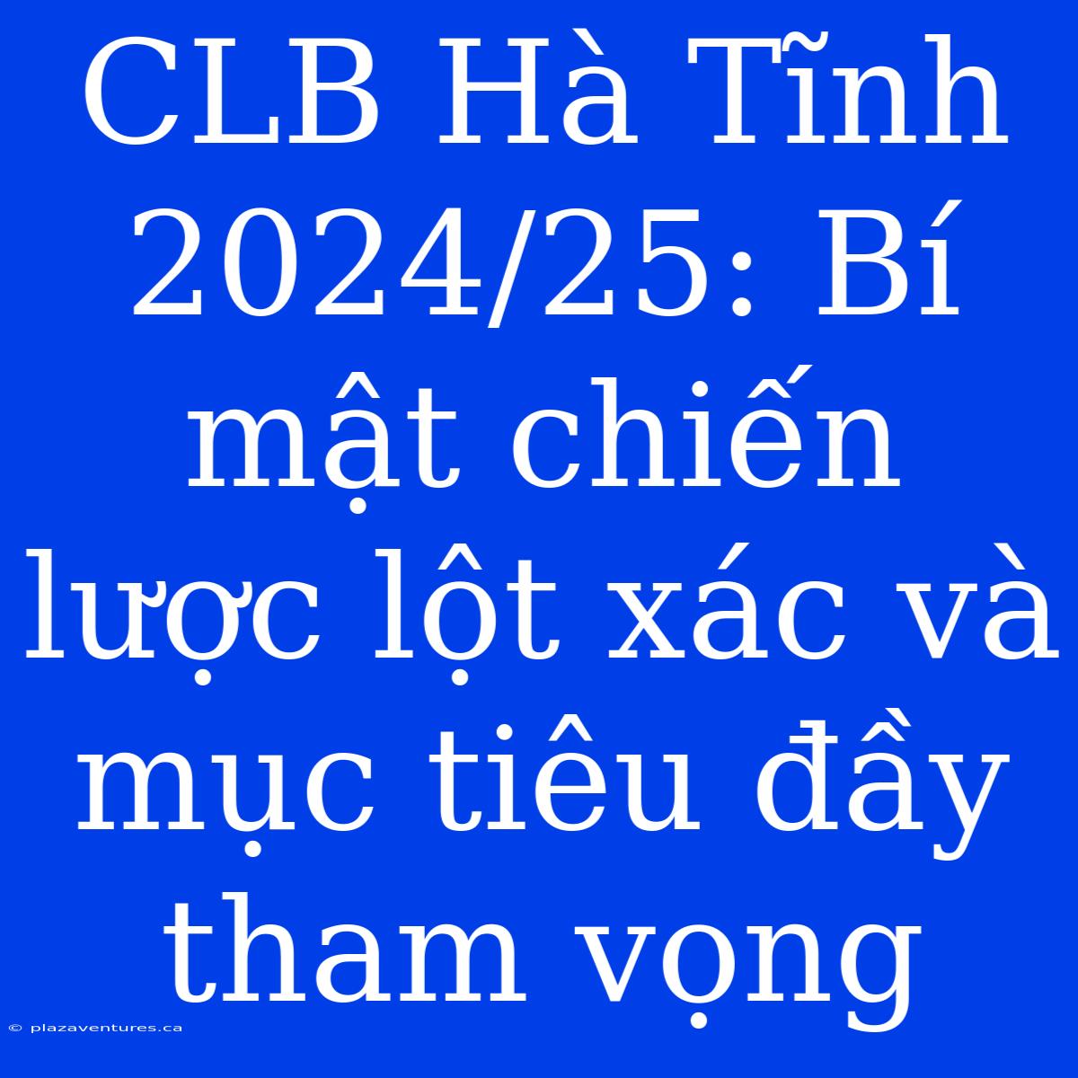 CLB Hà Tĩnh 2024/25: Bí Mật Chiến Lược Lột Xác Và Mục Tiêu Đầy Tham Vọng