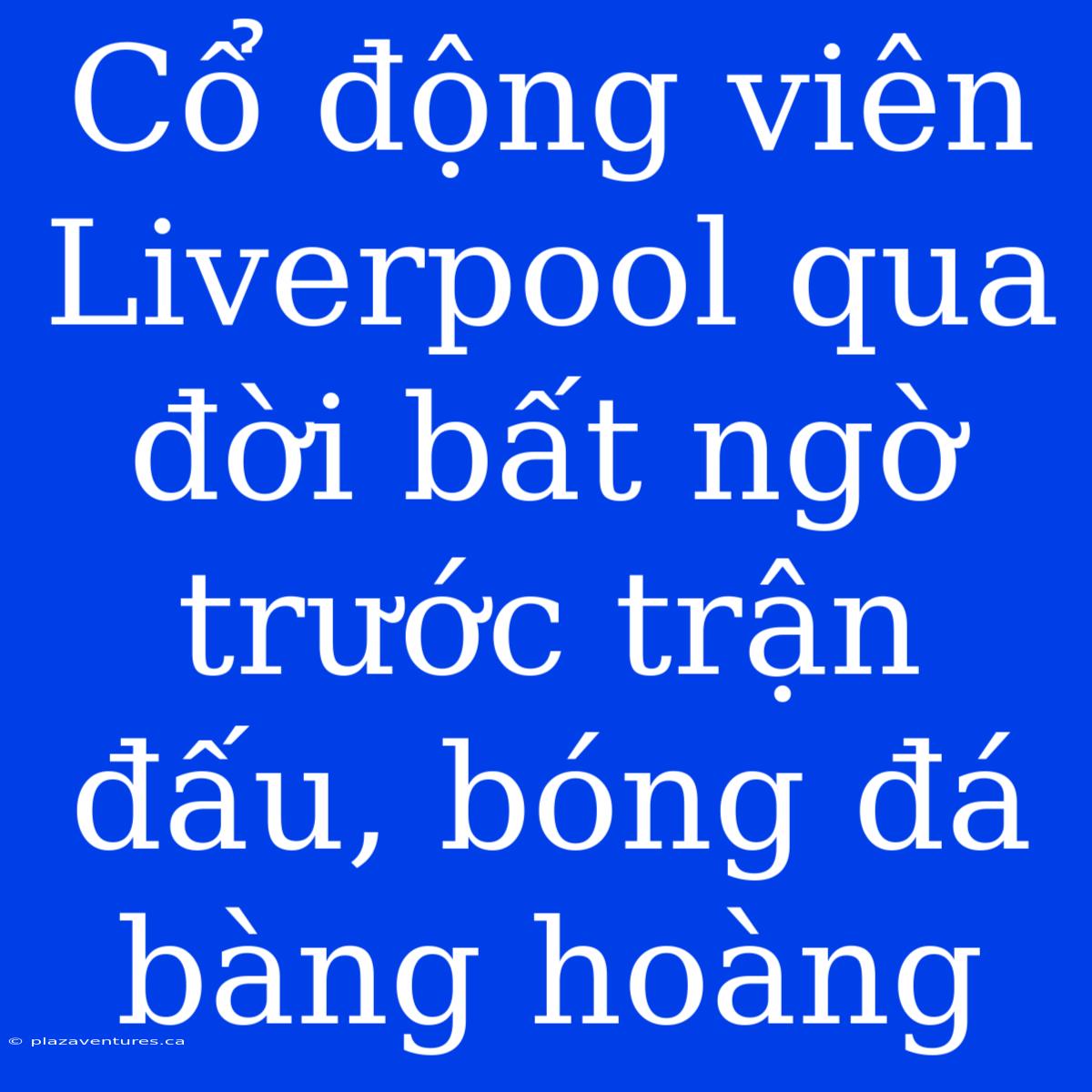 Cổ Động Viên Liverpool Qua Đời Bất Ngờ Trước Trận Đấu, Bóng Đá Bàng Hoàng