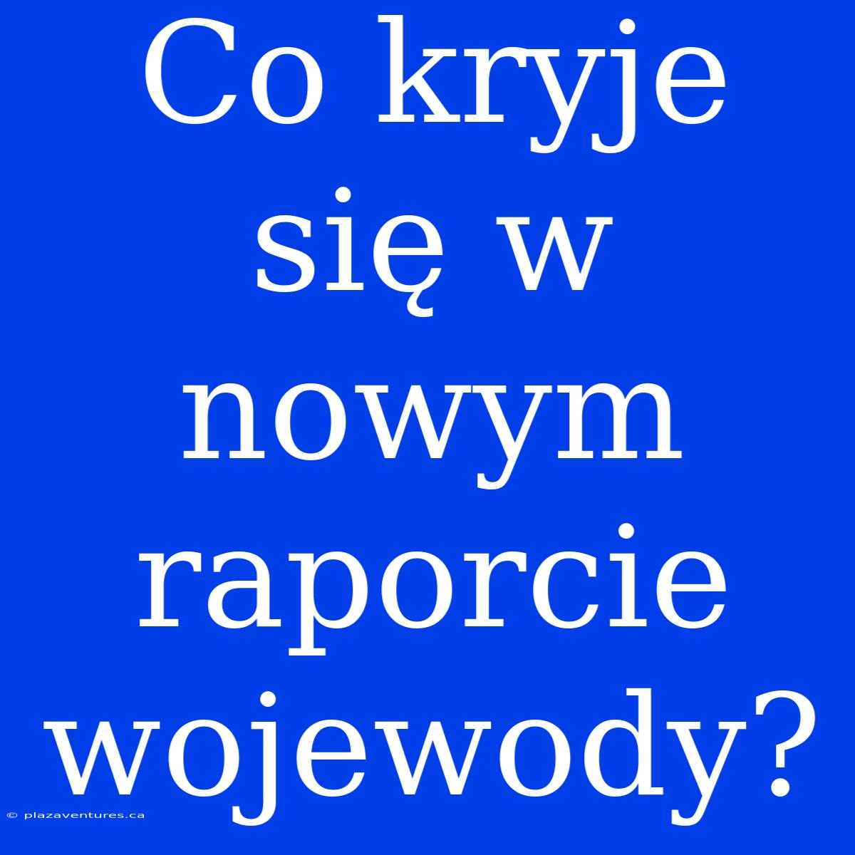 Co Kryje Się W Nowym Raporcie Wojewody?