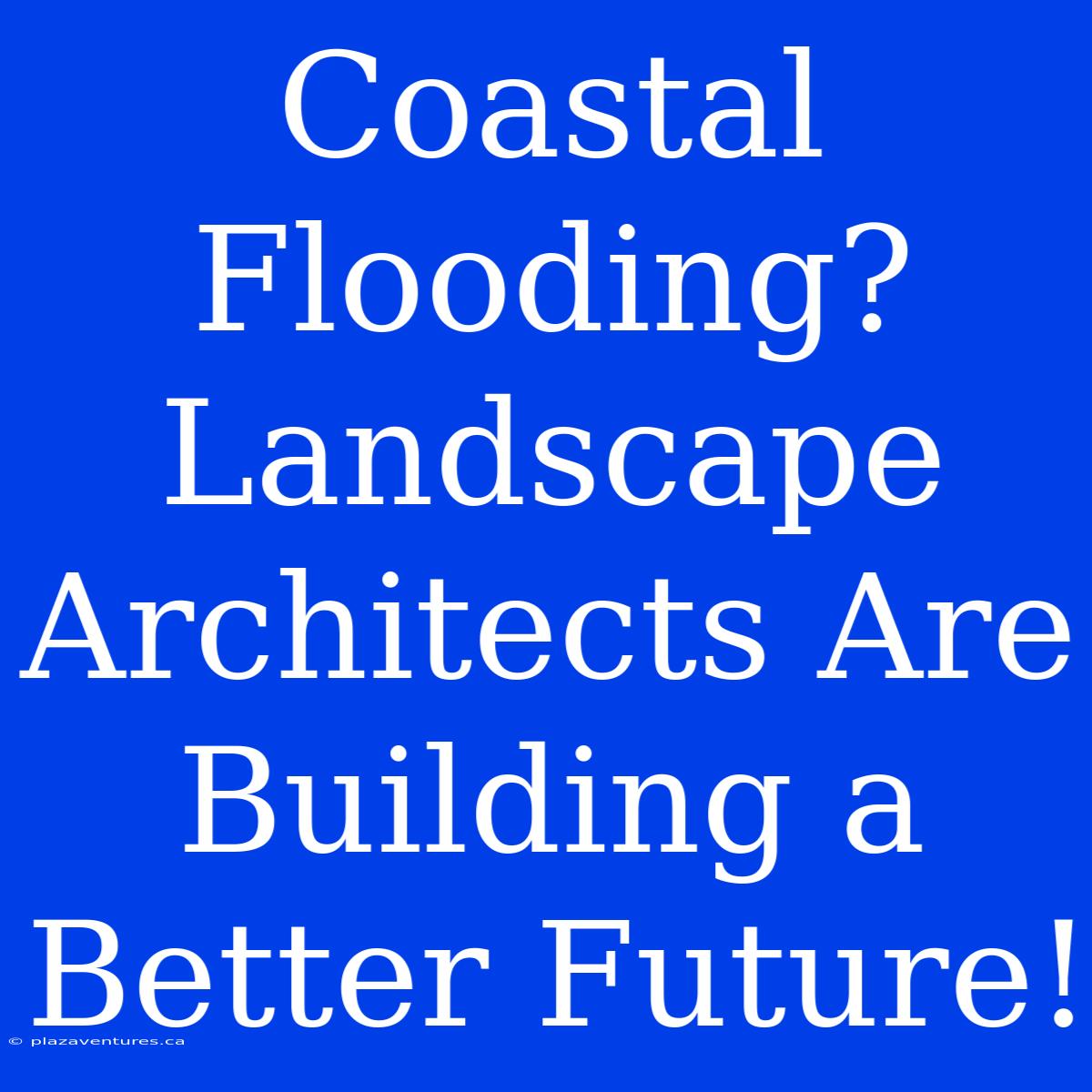 Coastal Flooding?  Landscape Architects Are Building A Better Future!