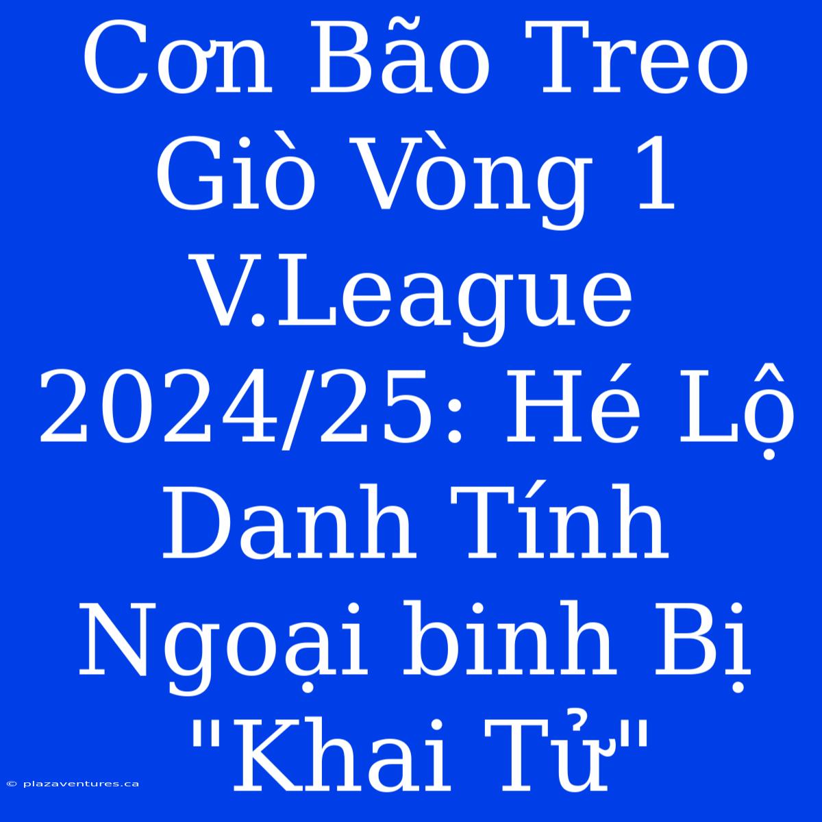 Cơn Bão Treo Giò Vòng 1 V.League 2024/25: Hé Lộ Danh Tính Ngoại Binh Bị 