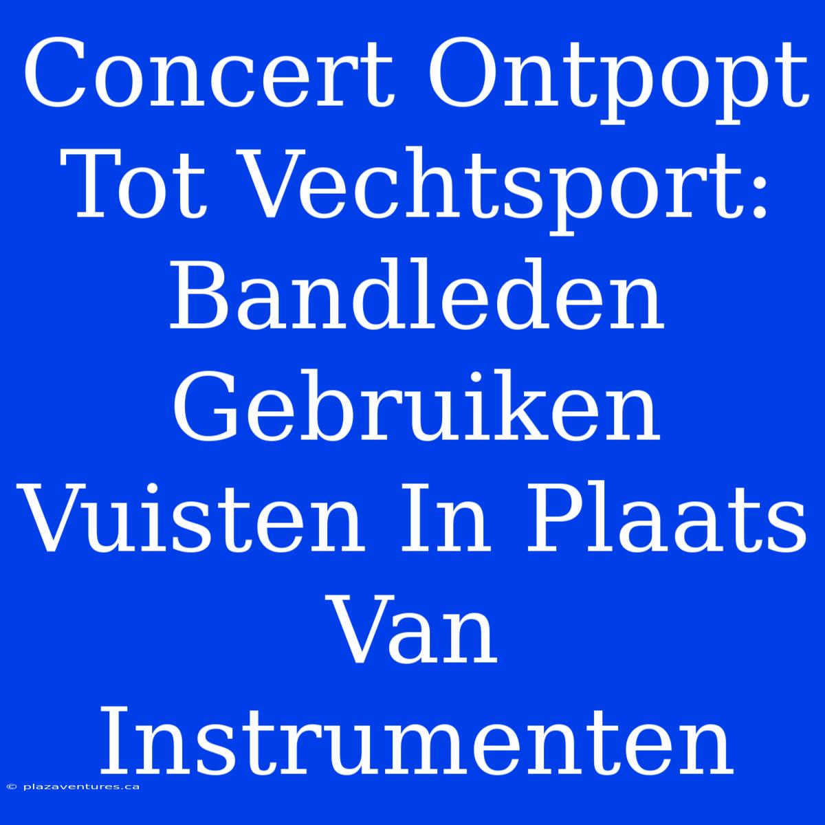 Concert Ontpopt Tot Vechtsport: Bandleden Gebruiken Vuisten In Plaats Van Instrumenten