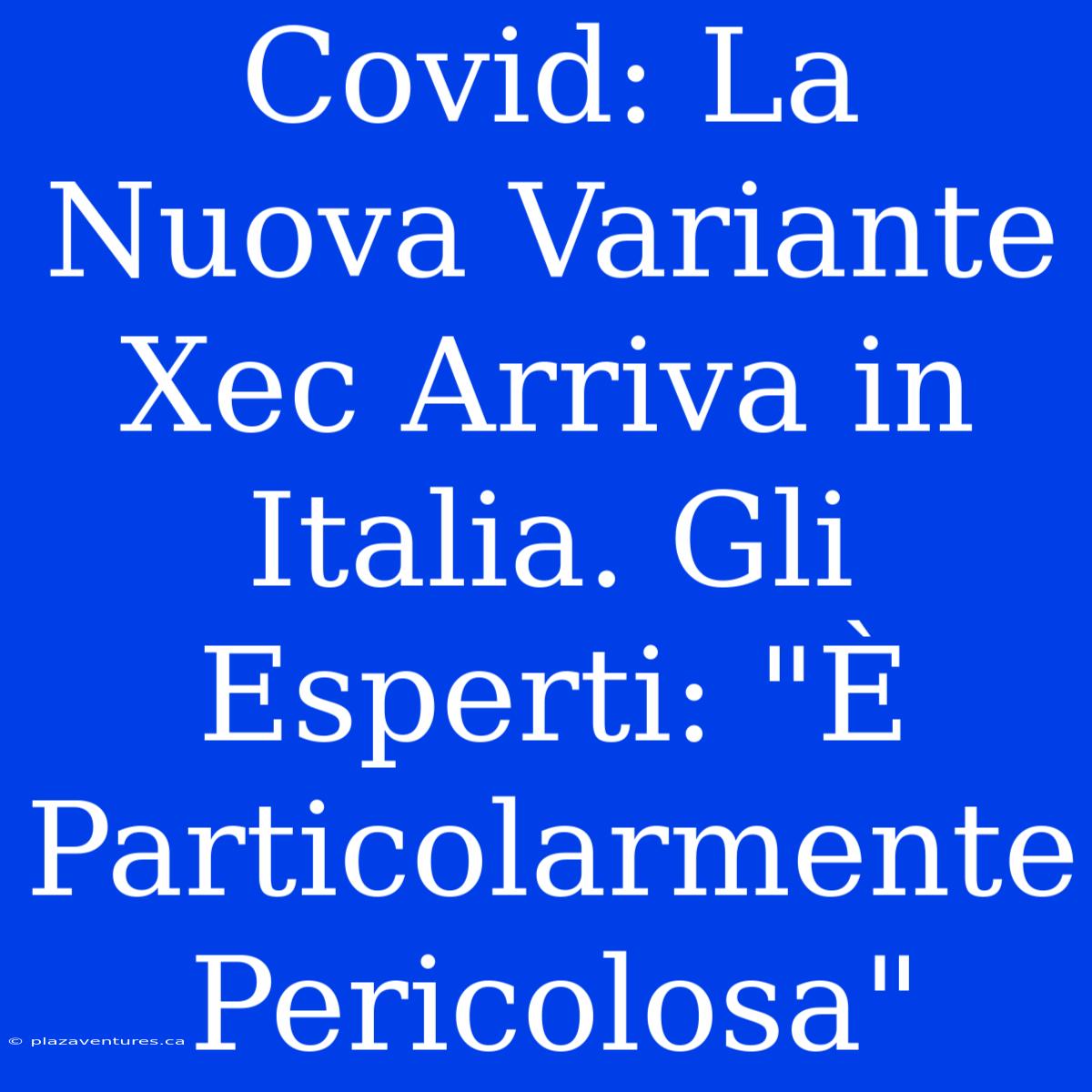 Covid: La Nuova Variante Xec Arriva In Italia. Gli Esperti: 