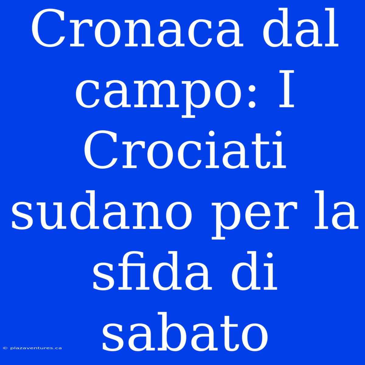 Cronaca Dal Campo: I Crociati Sudano Per La Sfida Di Sabato