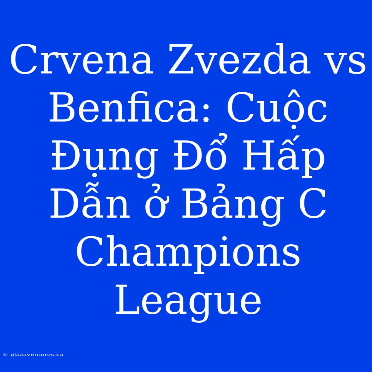 Crvena Zvezda Vs Benfica: Cuộc Đụng Đổ Hấp Dẫn Ở Bảng C Champions League