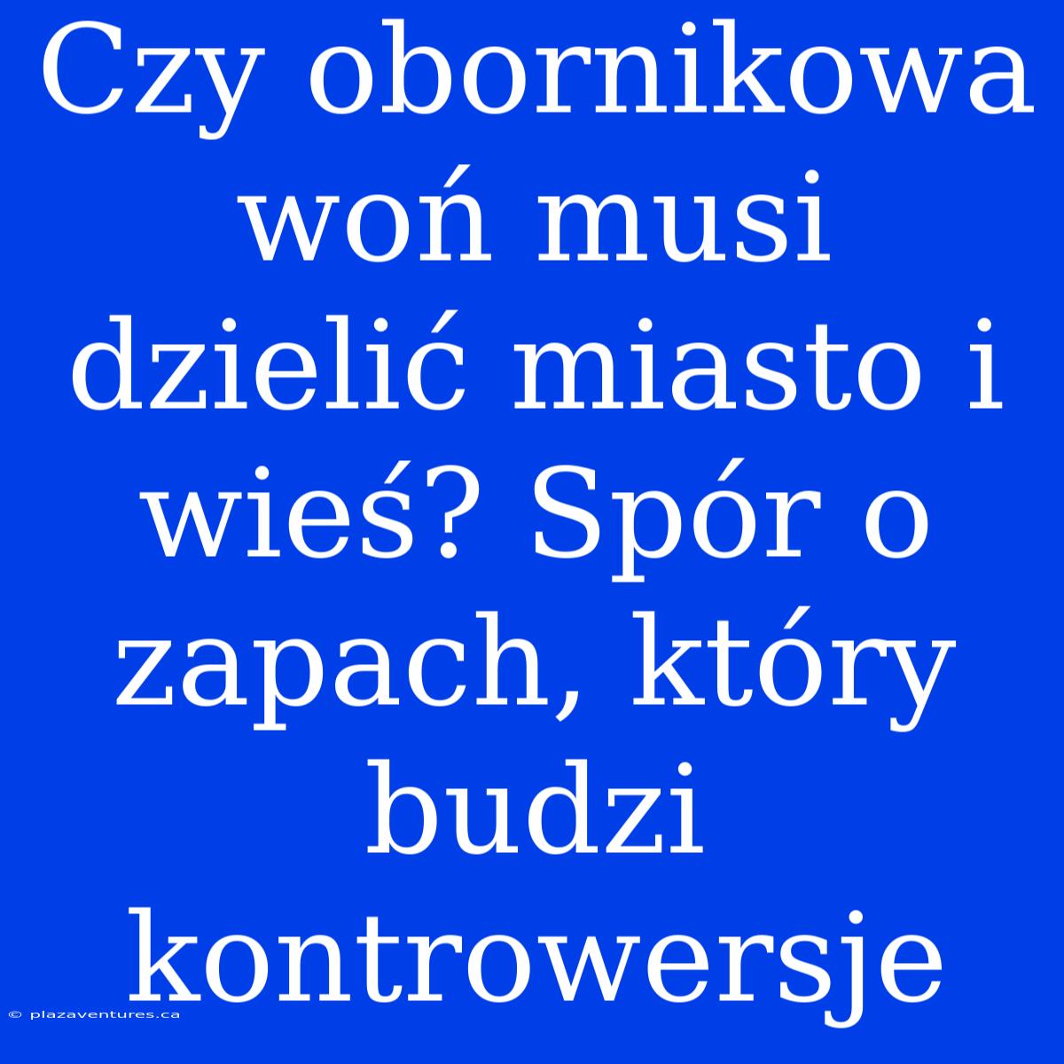 Czy Obornikowa Woń Musi Dzielić Miasto I Wieś? Spór O Zapach, Który Budzi Kontrowersje