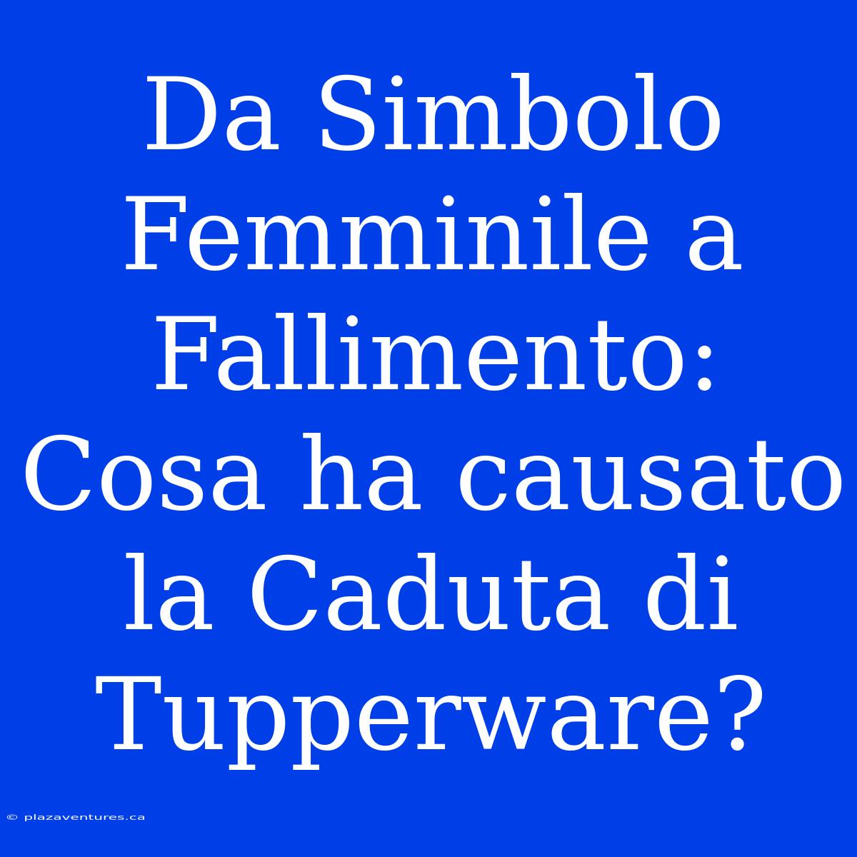 Da Simbolo Femminile A Fallimento: Cosa Ha Causato La Caduta Di Tupperware?