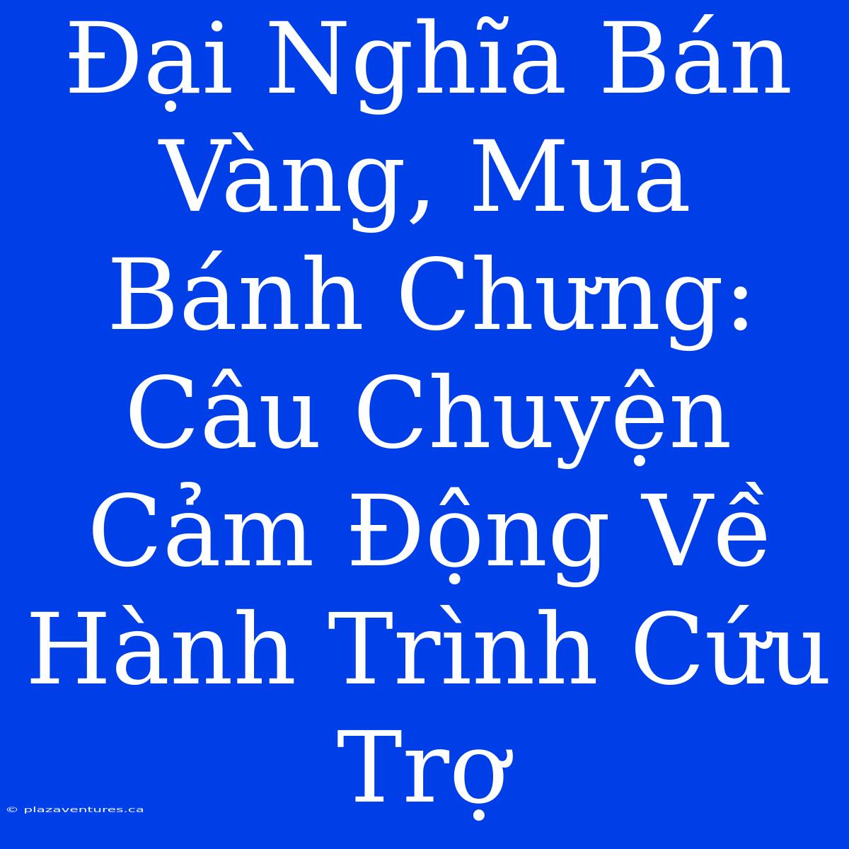 Đại Nghĩa Bán Vàng, Mua Bánh Chưng: Câu Chuyện Cảm Động Về Hành Trình Cứu Trợ