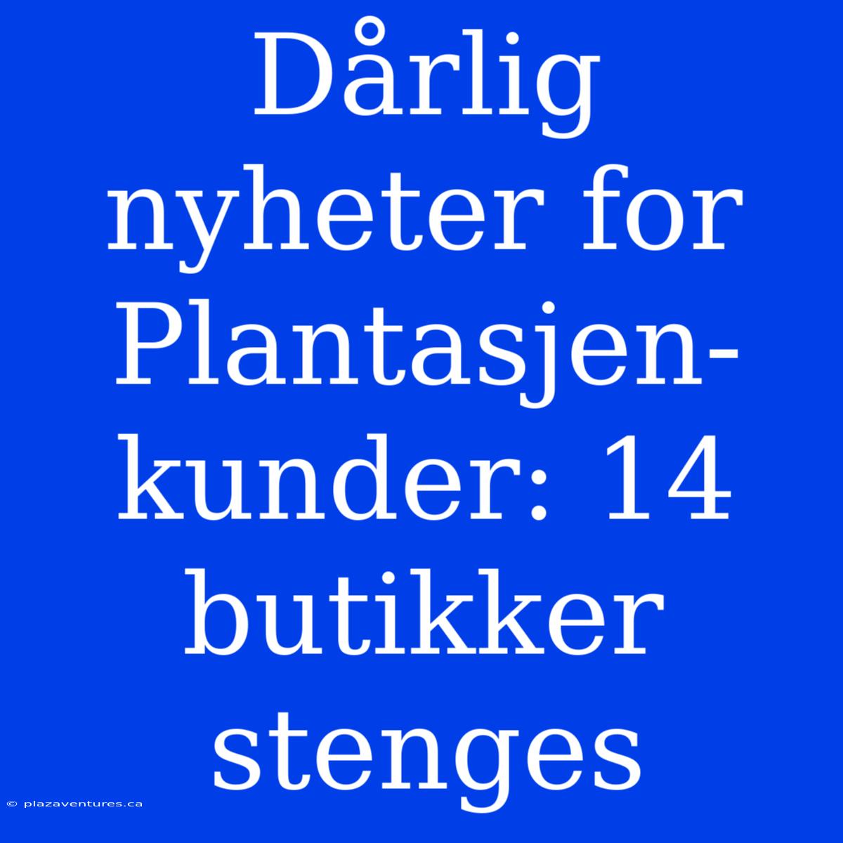 Dårlig Nyheter For Plantasjen-kunder: 14 Butikker Stenges