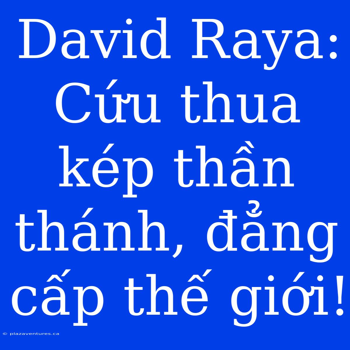 David Raya: Cứu Thua Kép Thần Thánh, Đẳng Cấp Thế Giới!