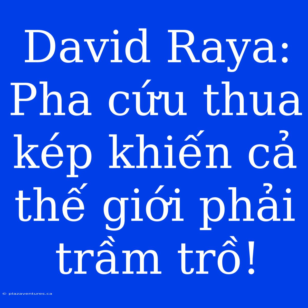 David Raya: Pha Cứu Thua Kép Khiến Cả Thế Giới Phải Trầm Trồ!