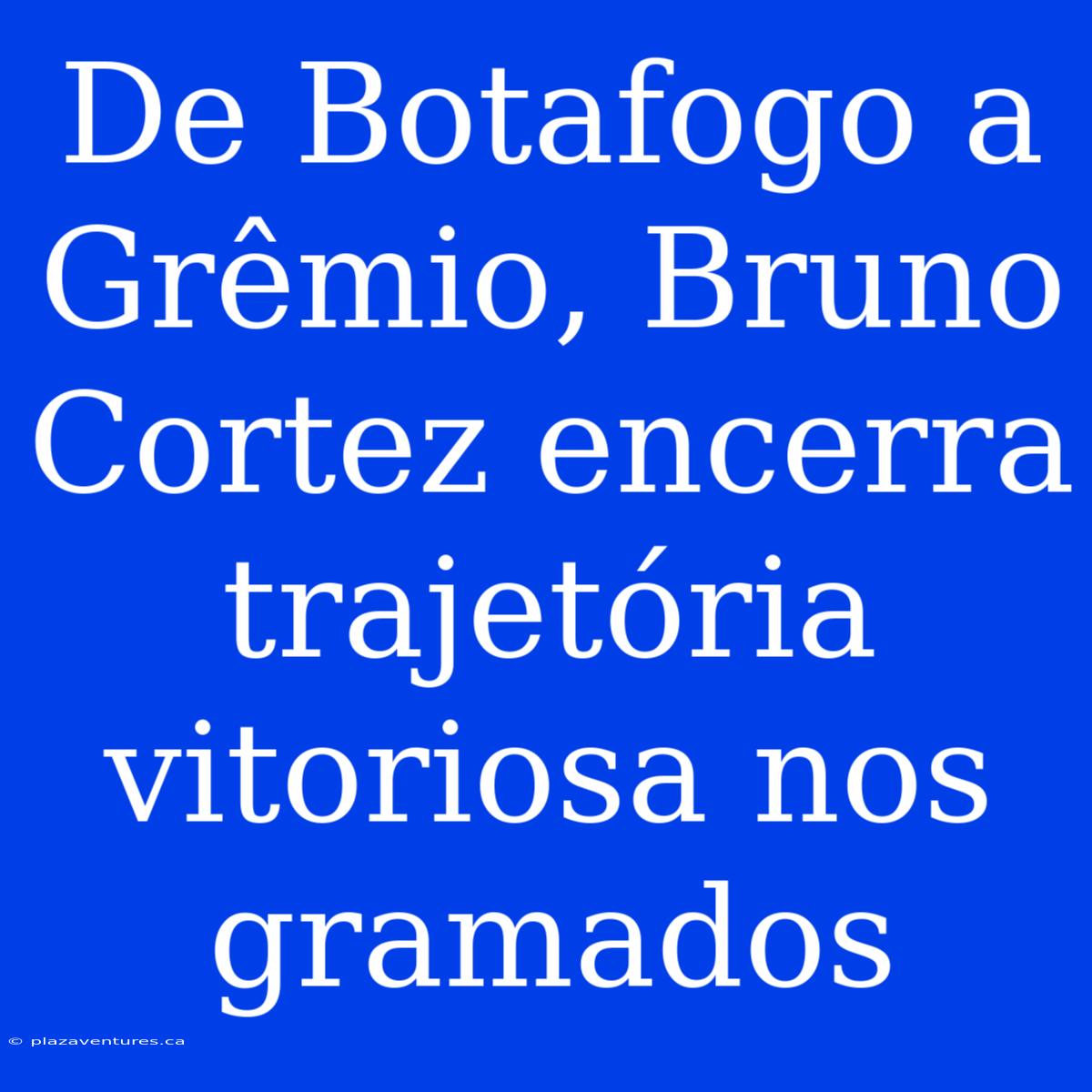 De Botafogo A Grêmio, Bruno Cortez Encerra Trajetória Vitoriosa Nos Gramados