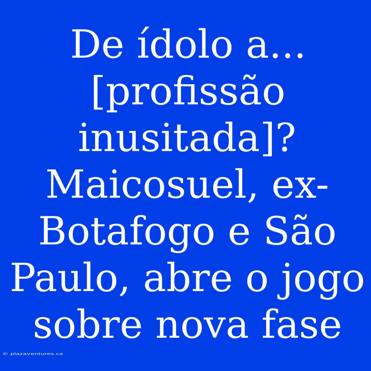 De Ídolo A... [profissão Inusitada]? Maicosuel, Ex-Botafogo E São Paulo, Abre O Jogo Sobre Nova Fase