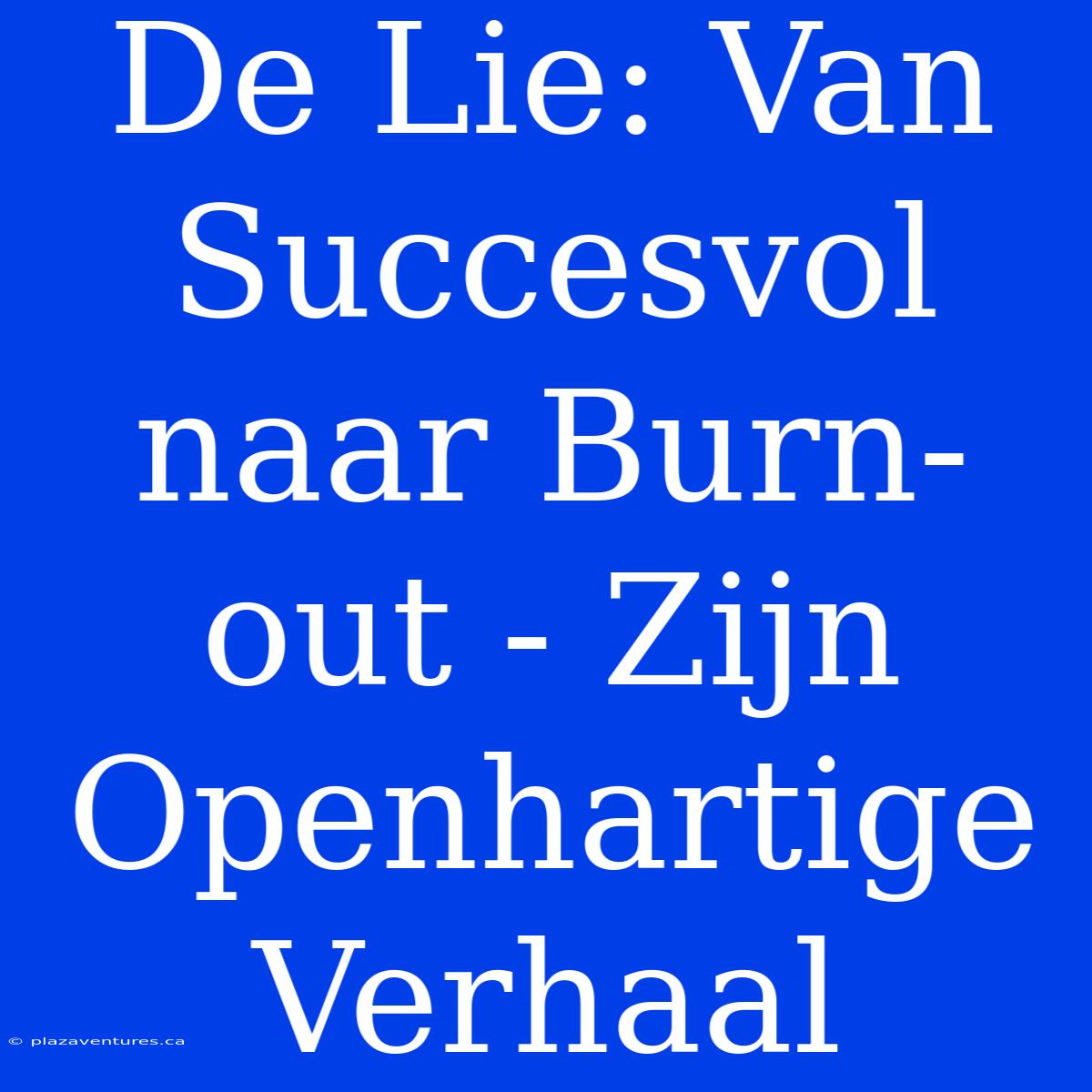 De Lie: Van Succesvol Naar Burn-out - Zijn Openhartige Verhaal